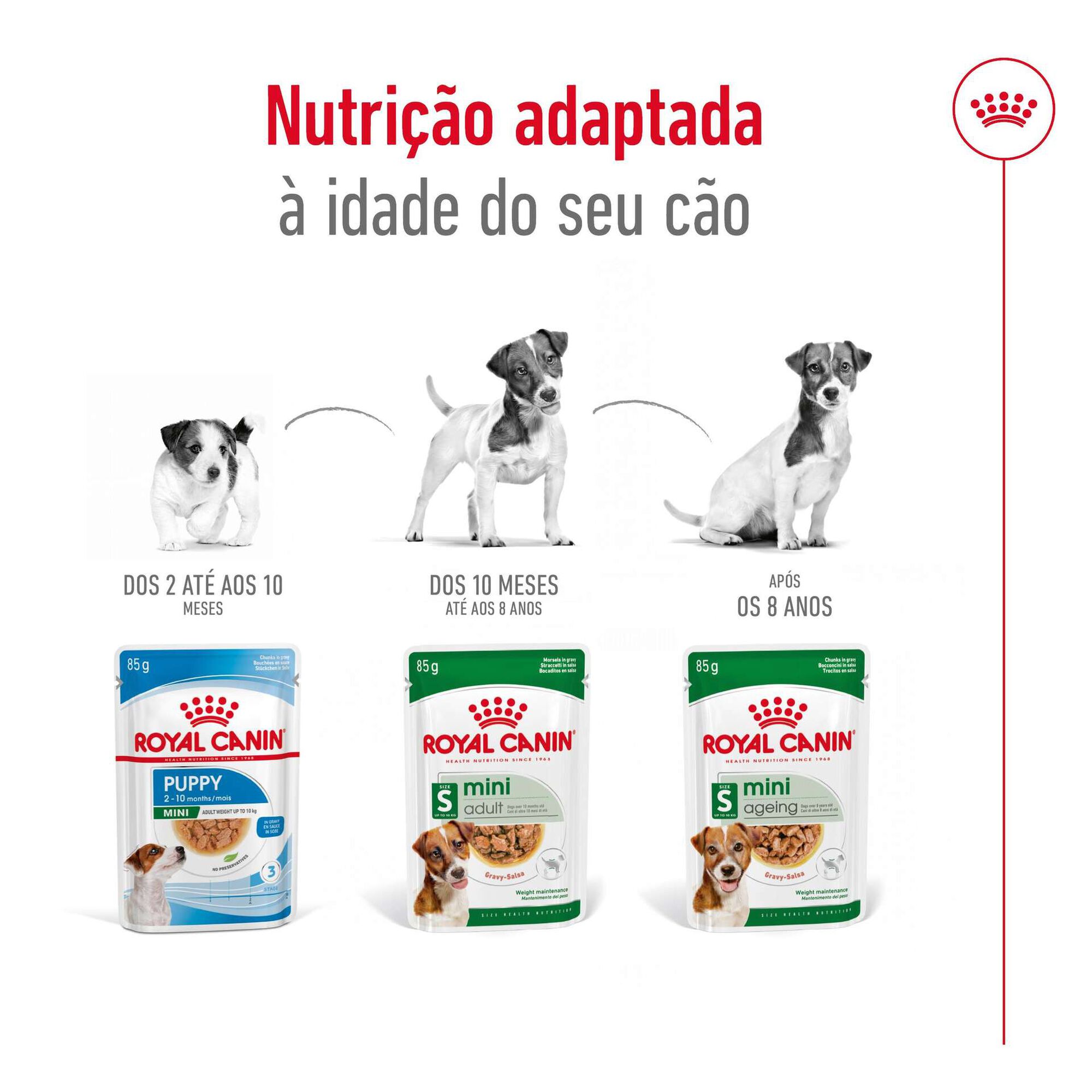 Comida Húmida para Cão Sénior Mini Ageing 12+ Saquetas