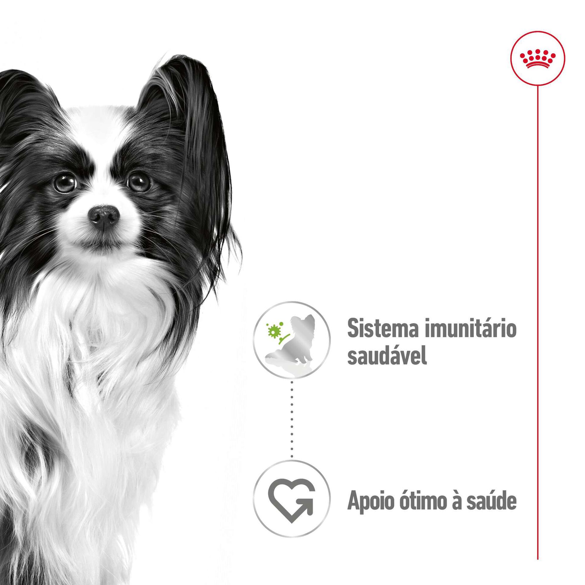 Comida Húmida para Cão Adulto X-Small Comida Húmida para Cão Adulto X-Small