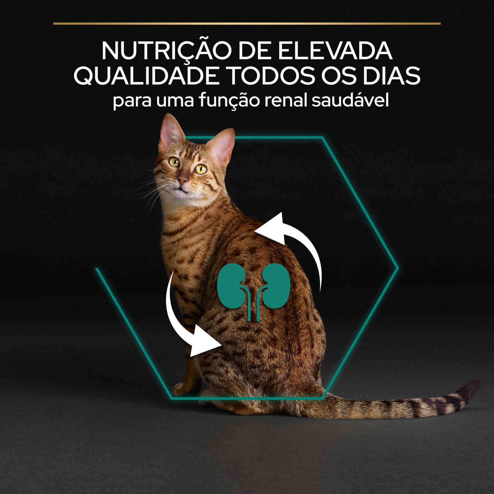 Ração para Gato Adulto Optirenal Frango