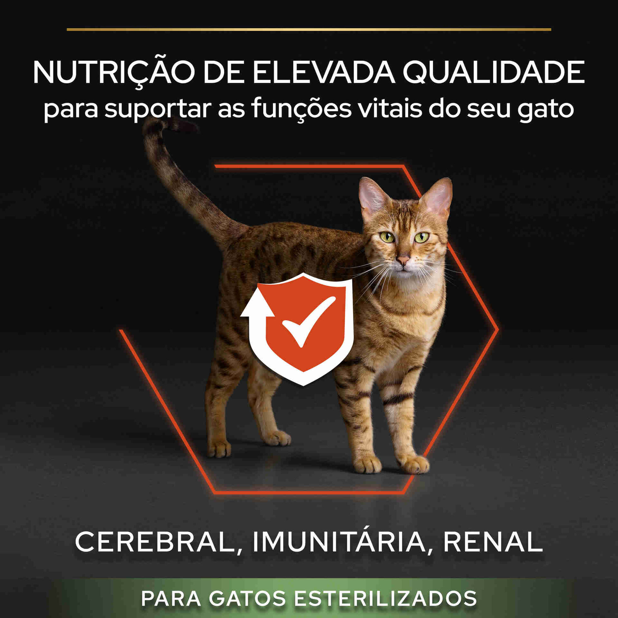 Ração para Gato Adulto Esterilizado Vital Functions Salmão