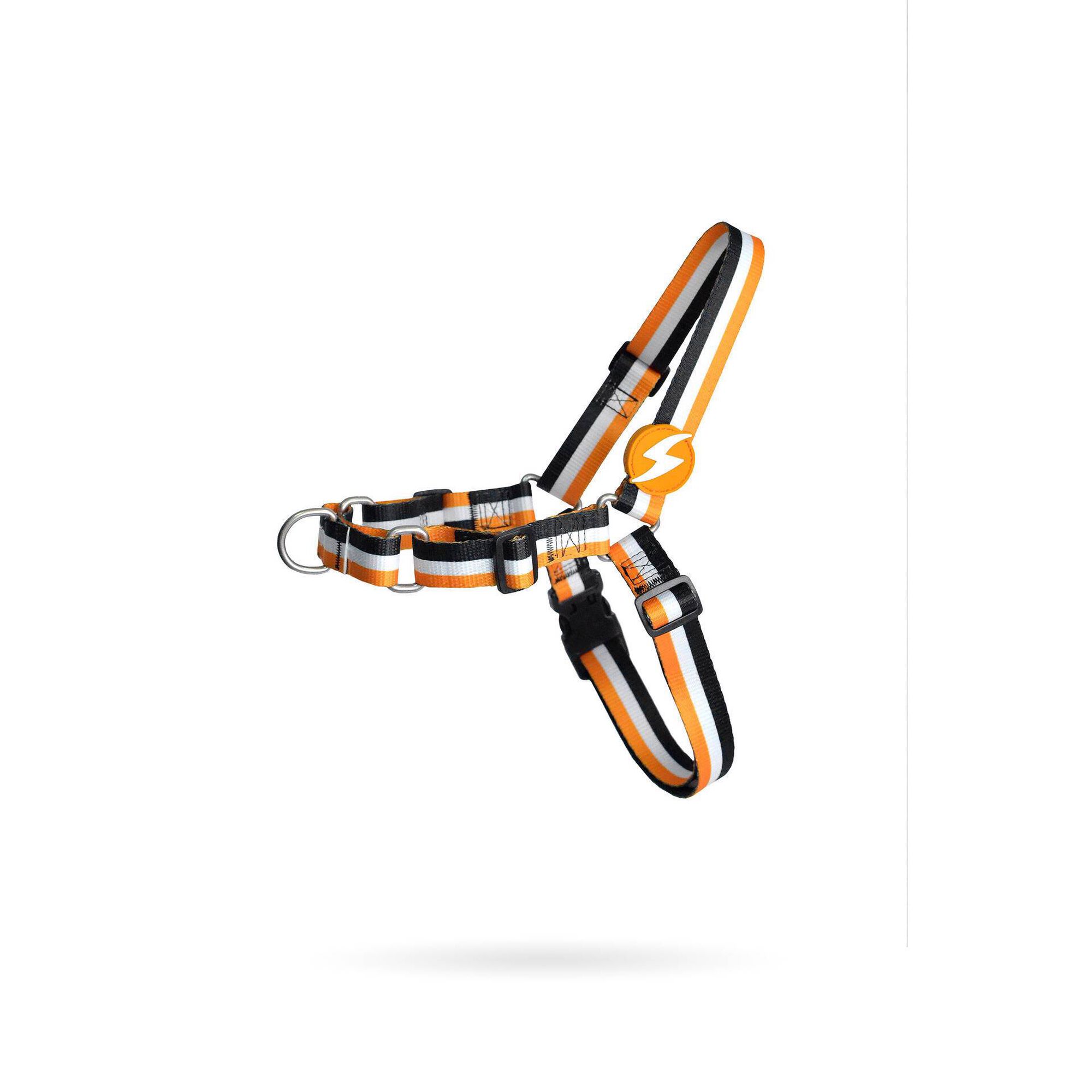 Arnês para Cão Stripes3 Laranja e Preto
