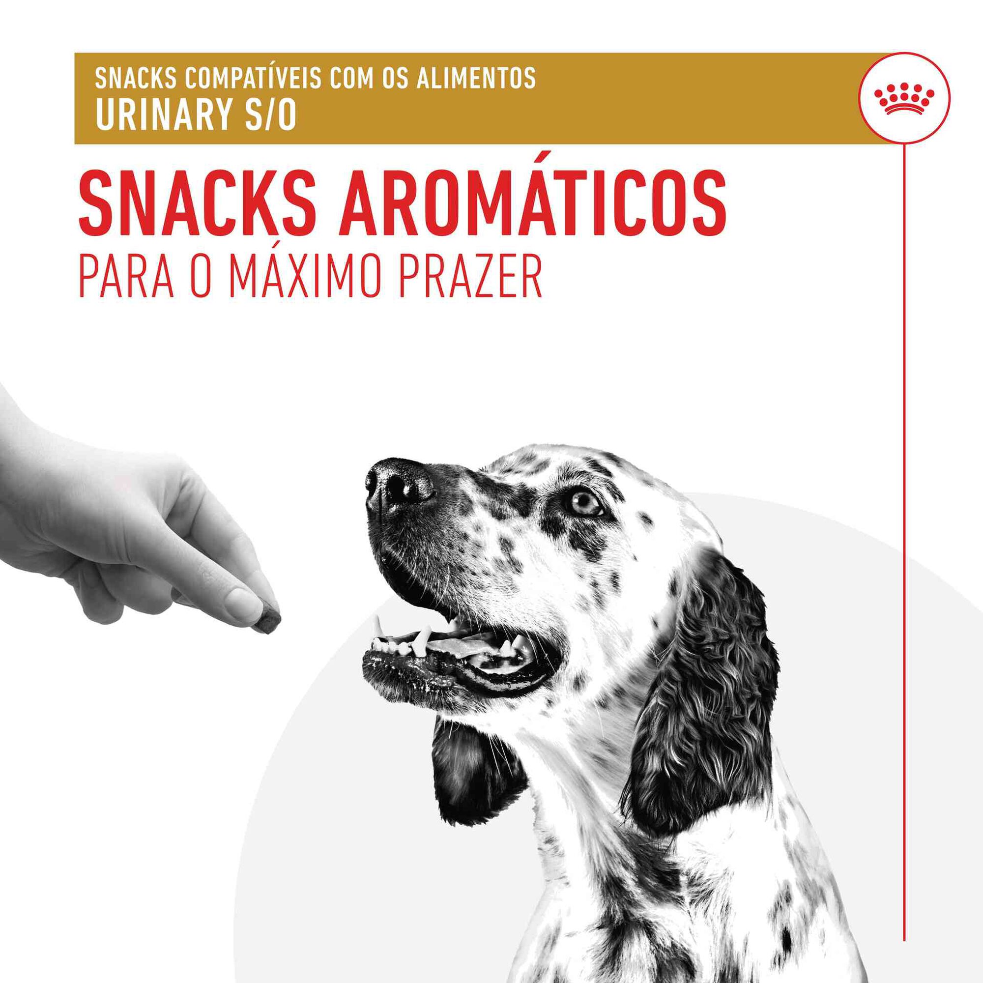 Snack para Cão Adulto Urinary Treats