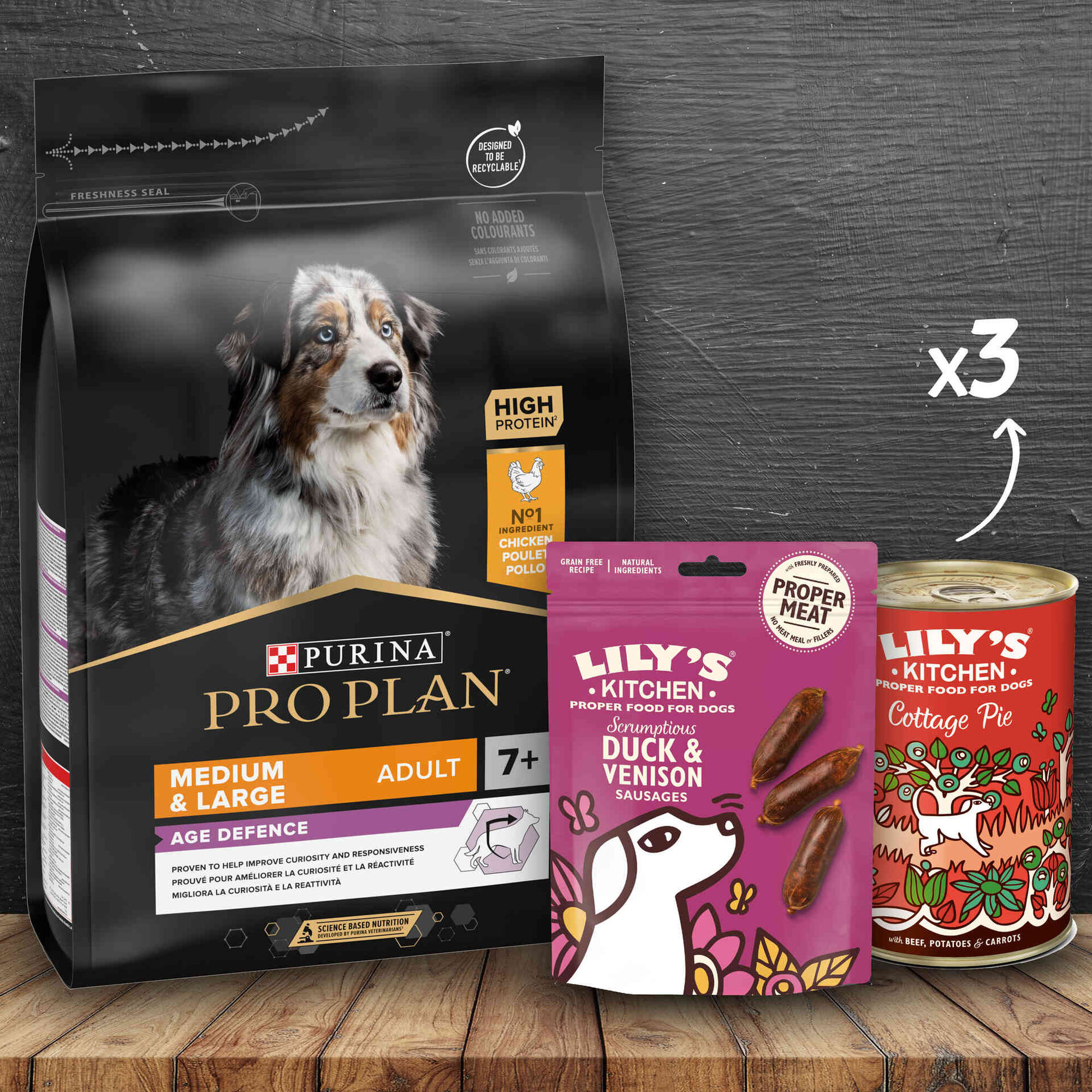 Kit de Alimentação para Cão Sénior