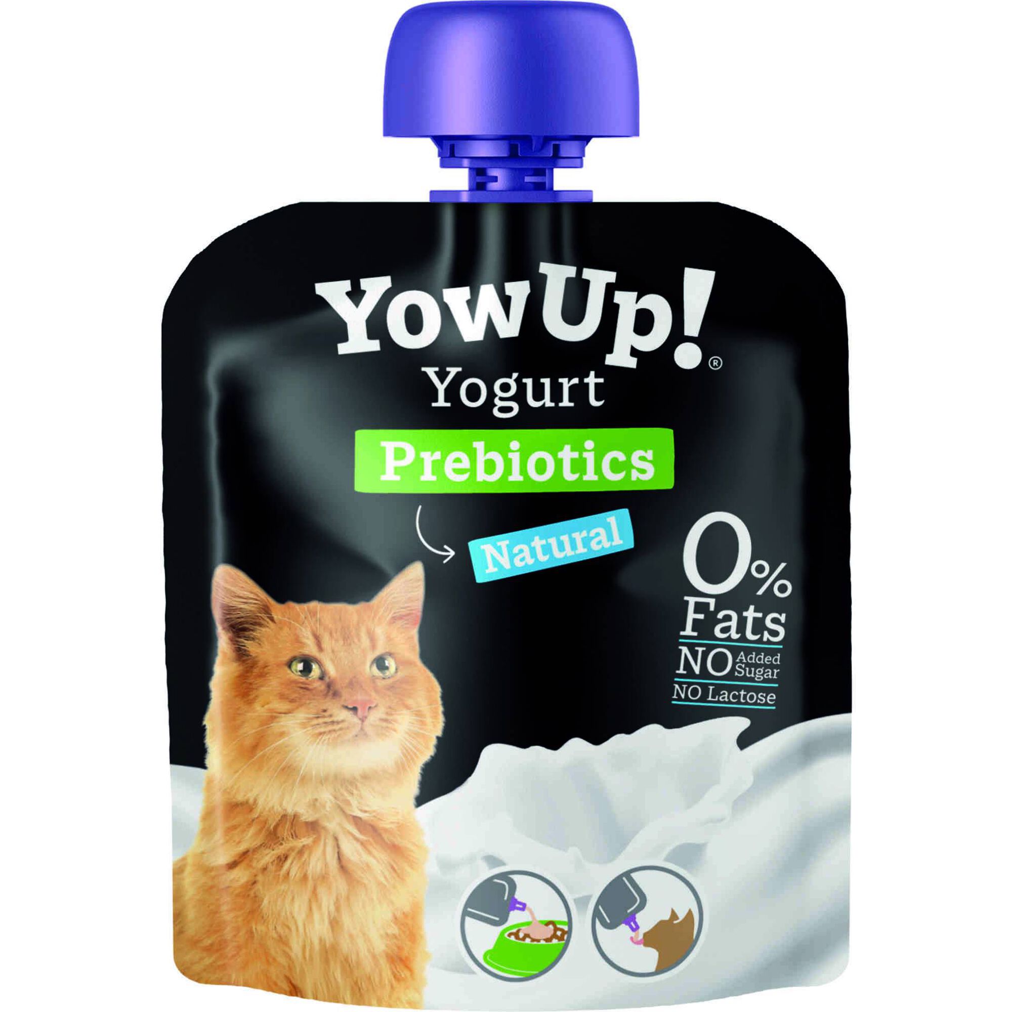Iogurte para Gato Natural Prebioticos