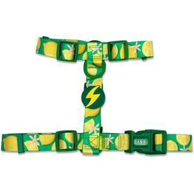 Arn&ecirc;s para C&atilde;o Eco Rio L