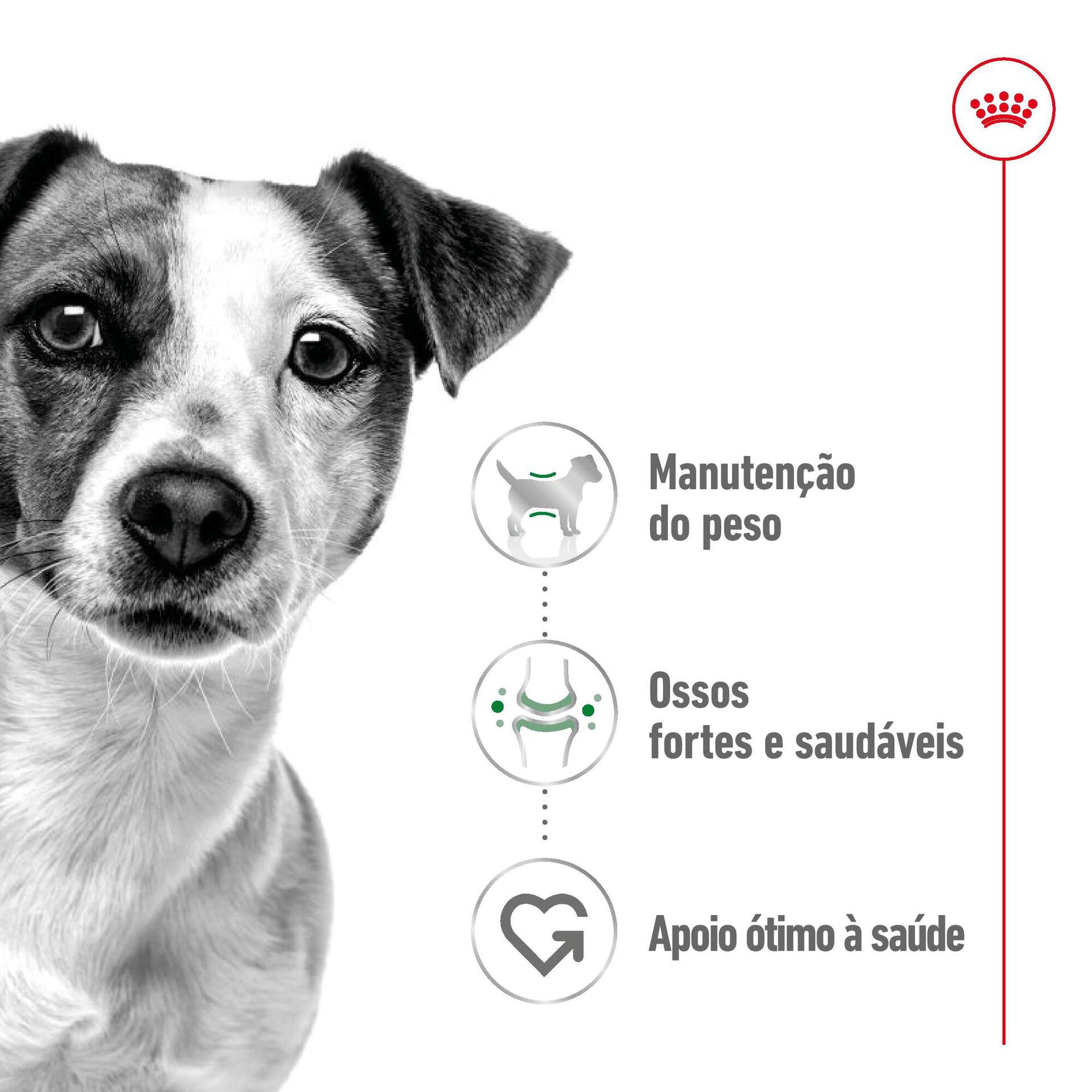 Comida Húmida para Cão Adulto Mini