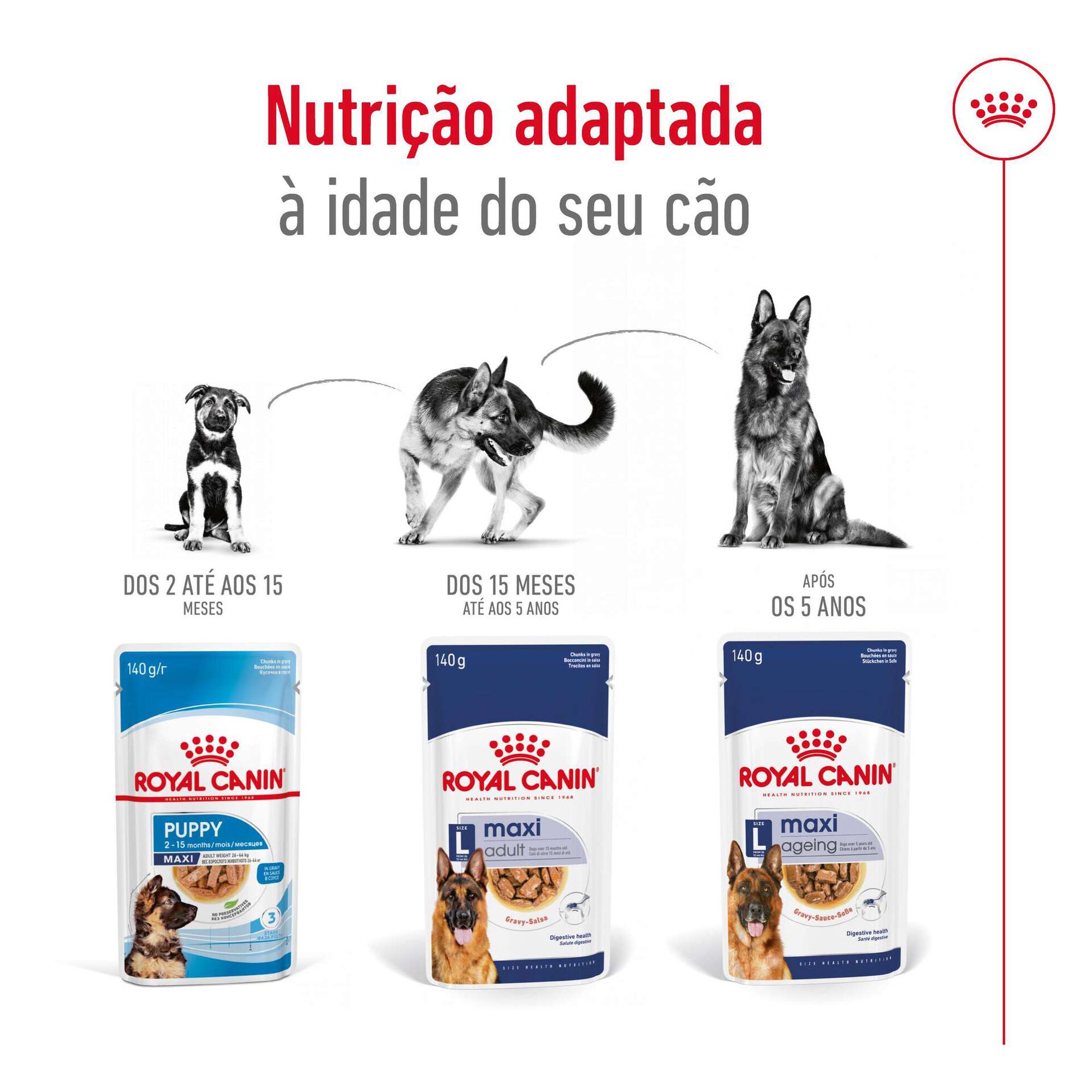 Comida Húmida para Cão Maxi Saquetas