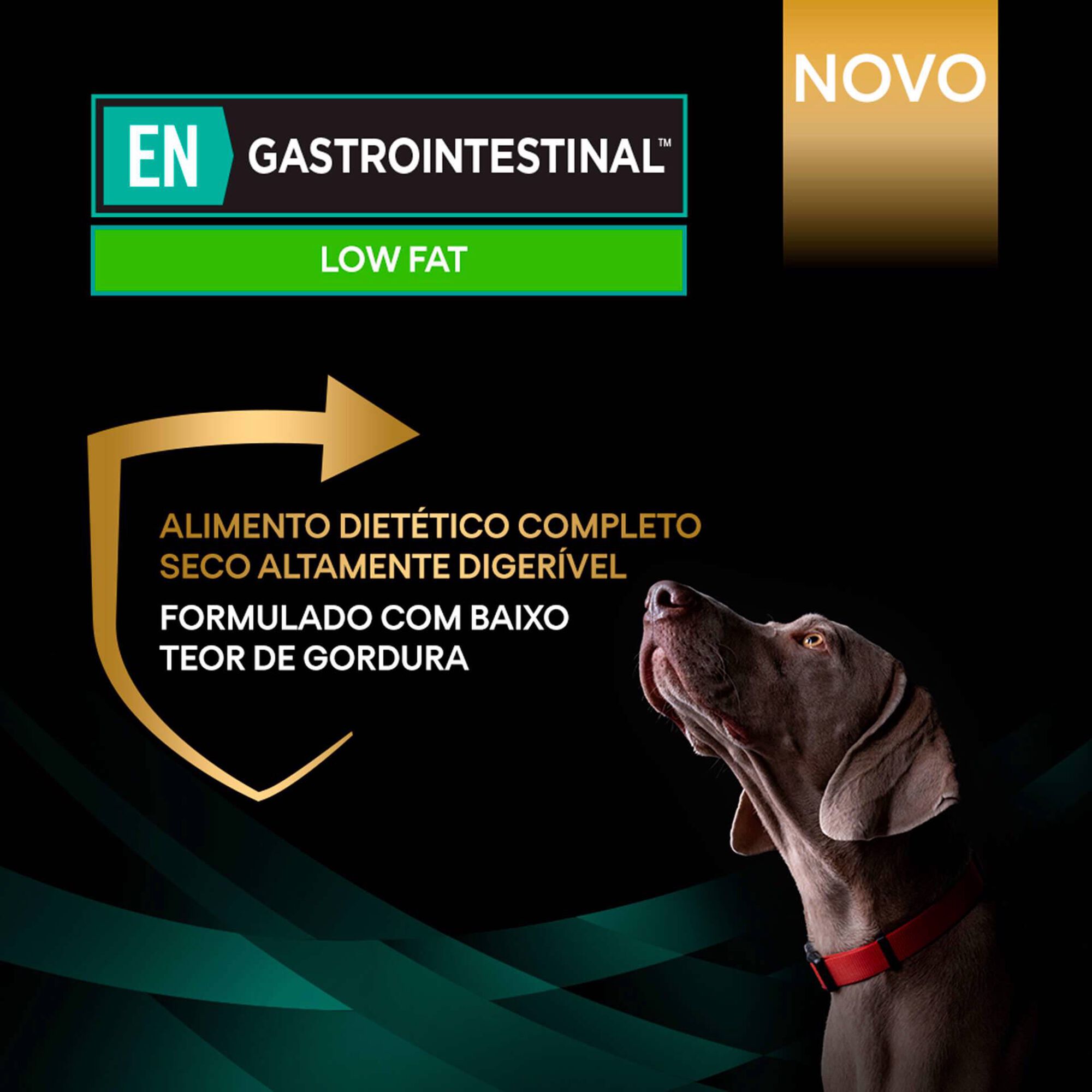 Ração para Cão Adulto Gastrointestinal Low Fat