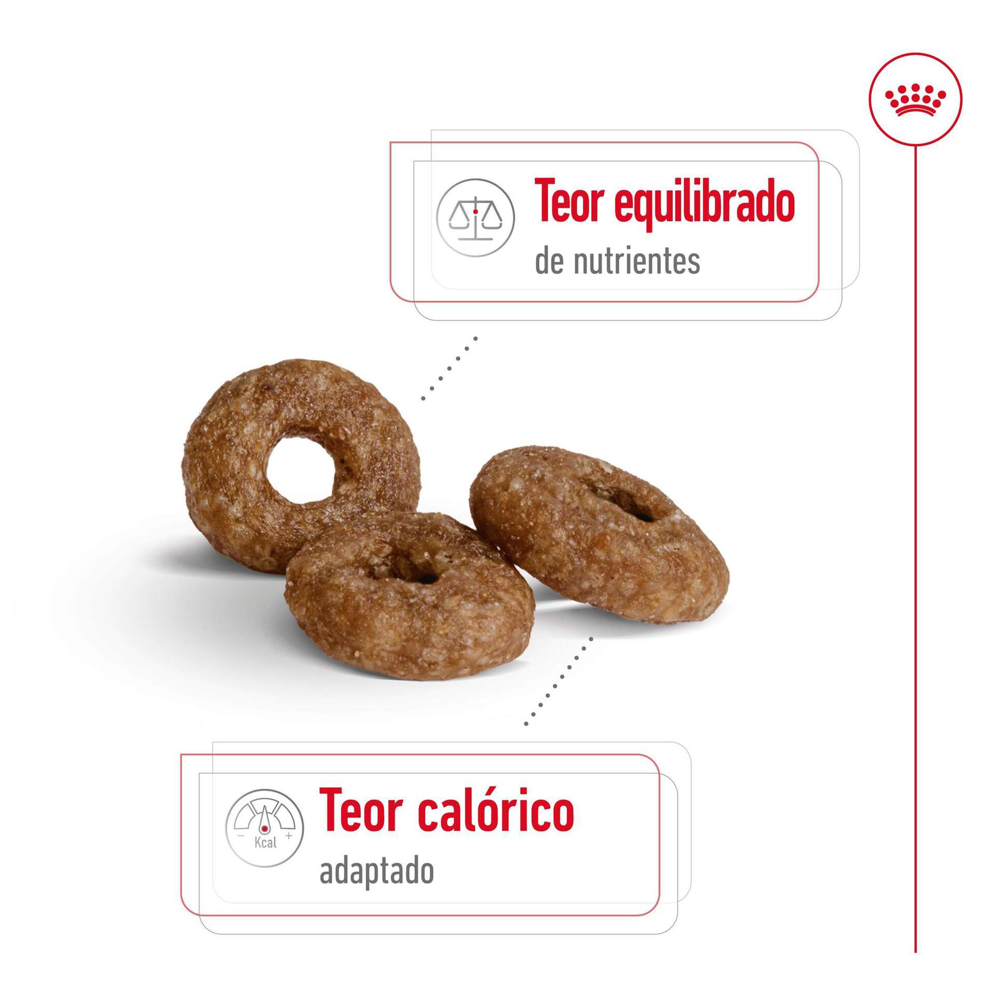 Ração para Cão Sénior Mini Ageing 12+ Ração para Cão Sénior Mini Ageing 12+