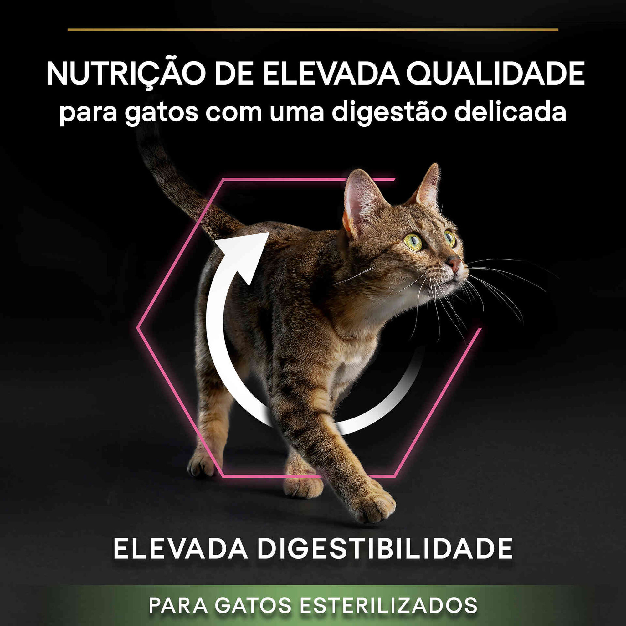 Ração para Gato Adulto Esterilizado Delicate Frango
