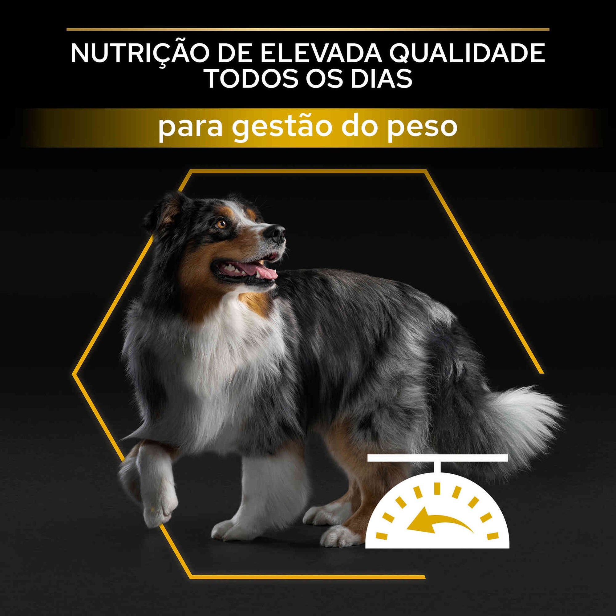 Ração para Cão Light/Esterilizado Borrego