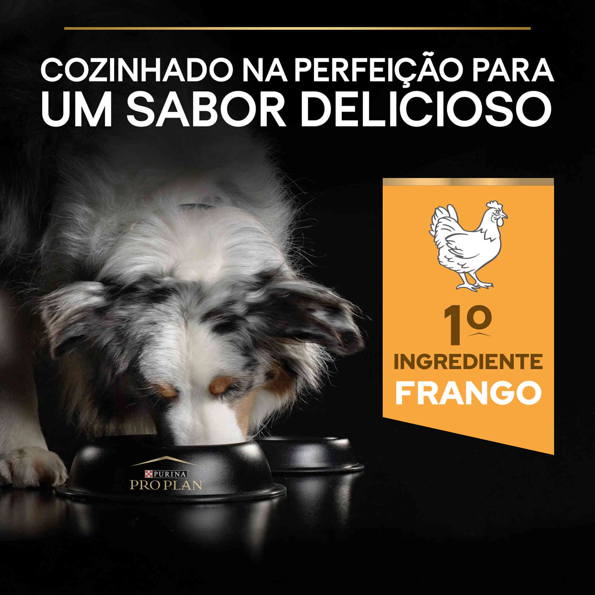 Ração para Cão Adulto Médio Everyday Nutrition Frango