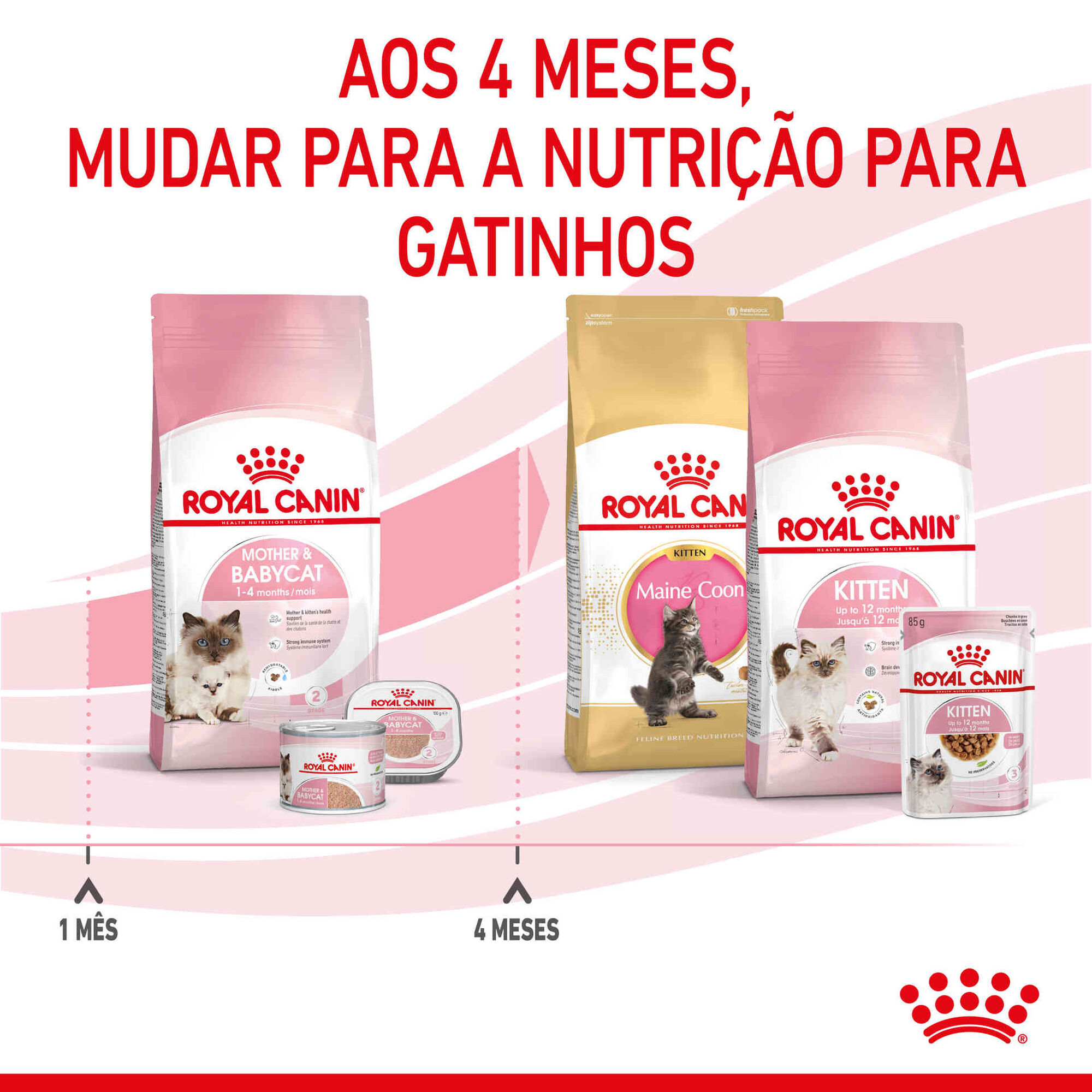 Ração para Gato First Age Mother e Babycat