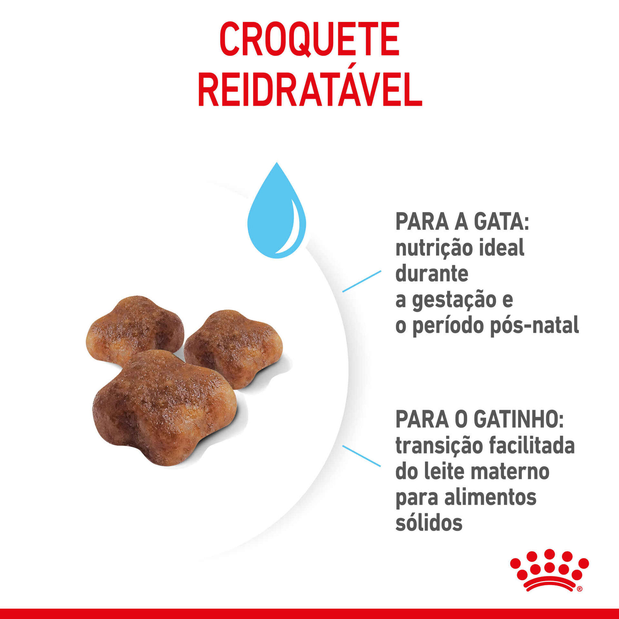 Ração para Gato First Age Mother e Babycat