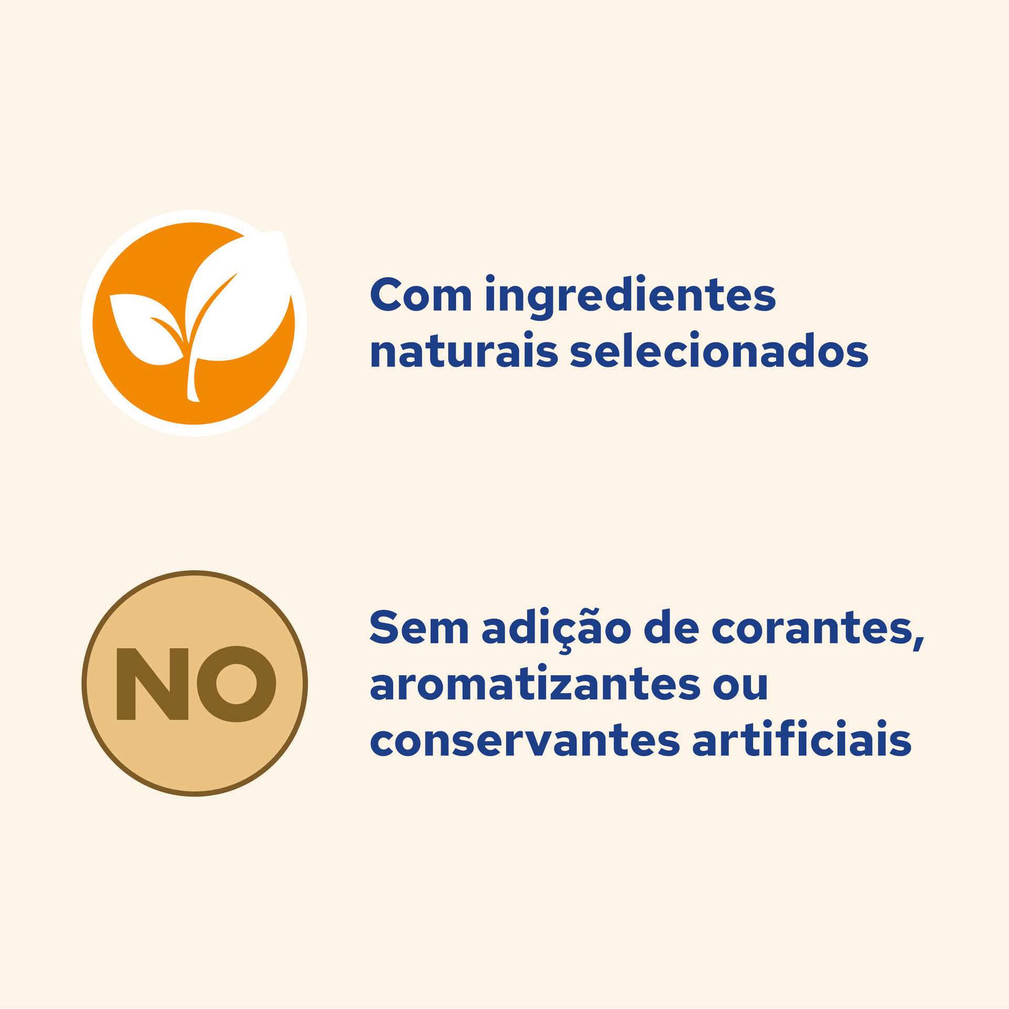 Comida Húmida para Gato Adulto Frango Saquetas