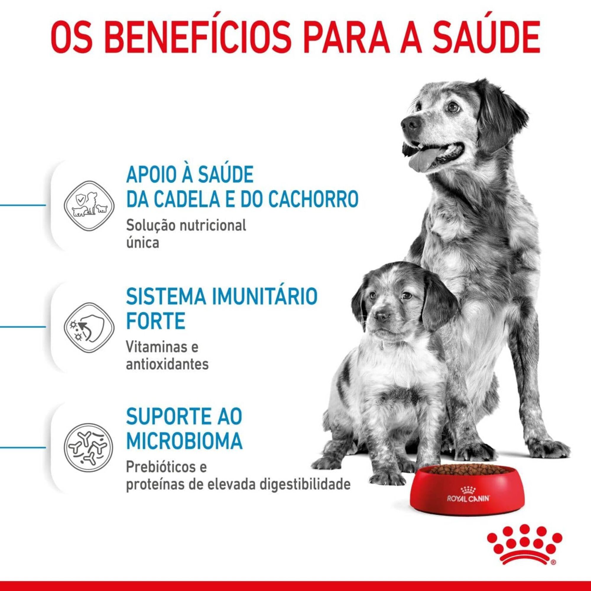 Ração para Cão Starter Mother e Babydog