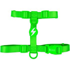 Arn&ecirc;s para C&atilde;o Verde Neon S