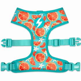 Peitoral para Cão Eco Caribe Peitoral para Cão Eco Caribe