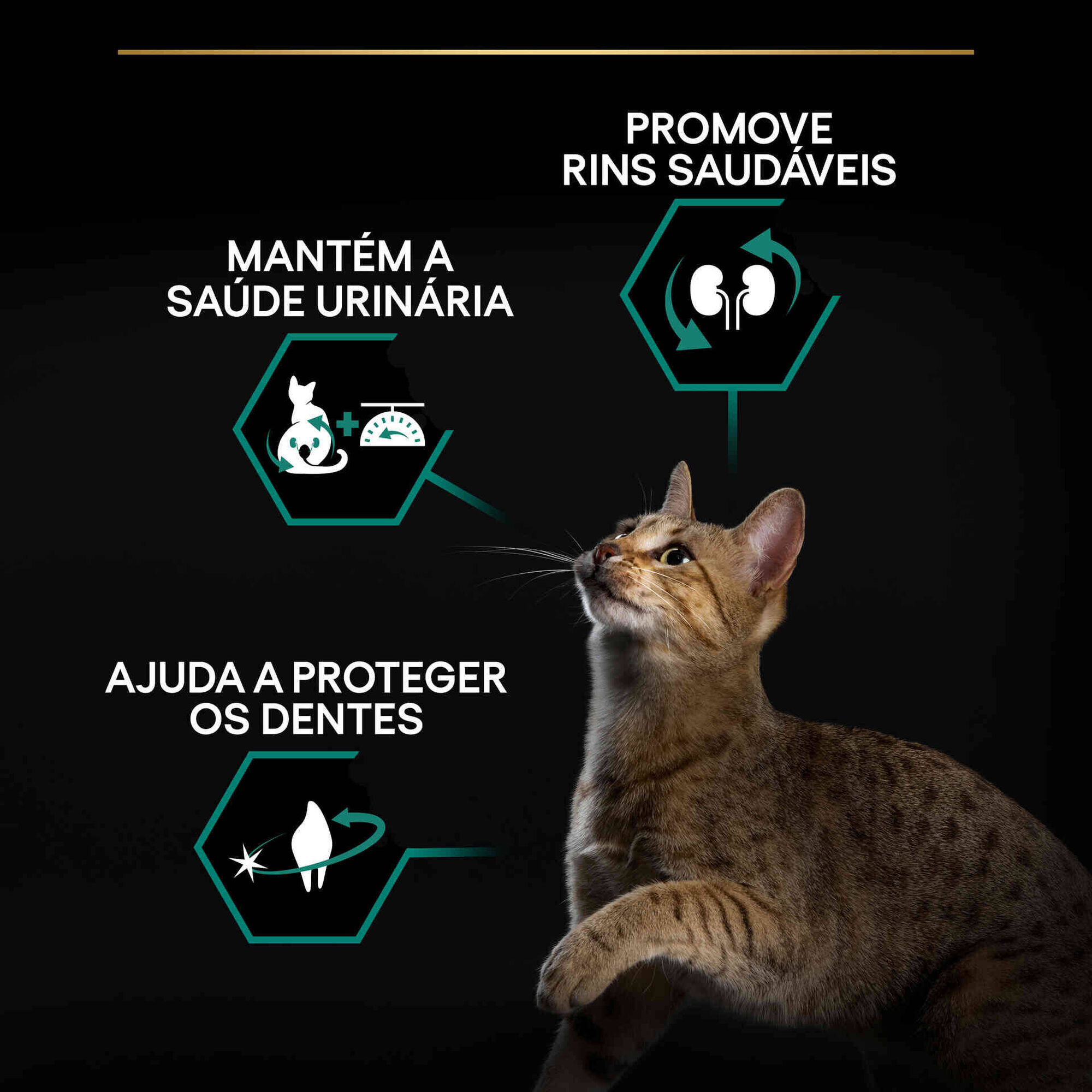 Ra&ccedil;&atilde;o para Gato Adulto Esterilizado Renal Plus Peru Purina Pro Plan
