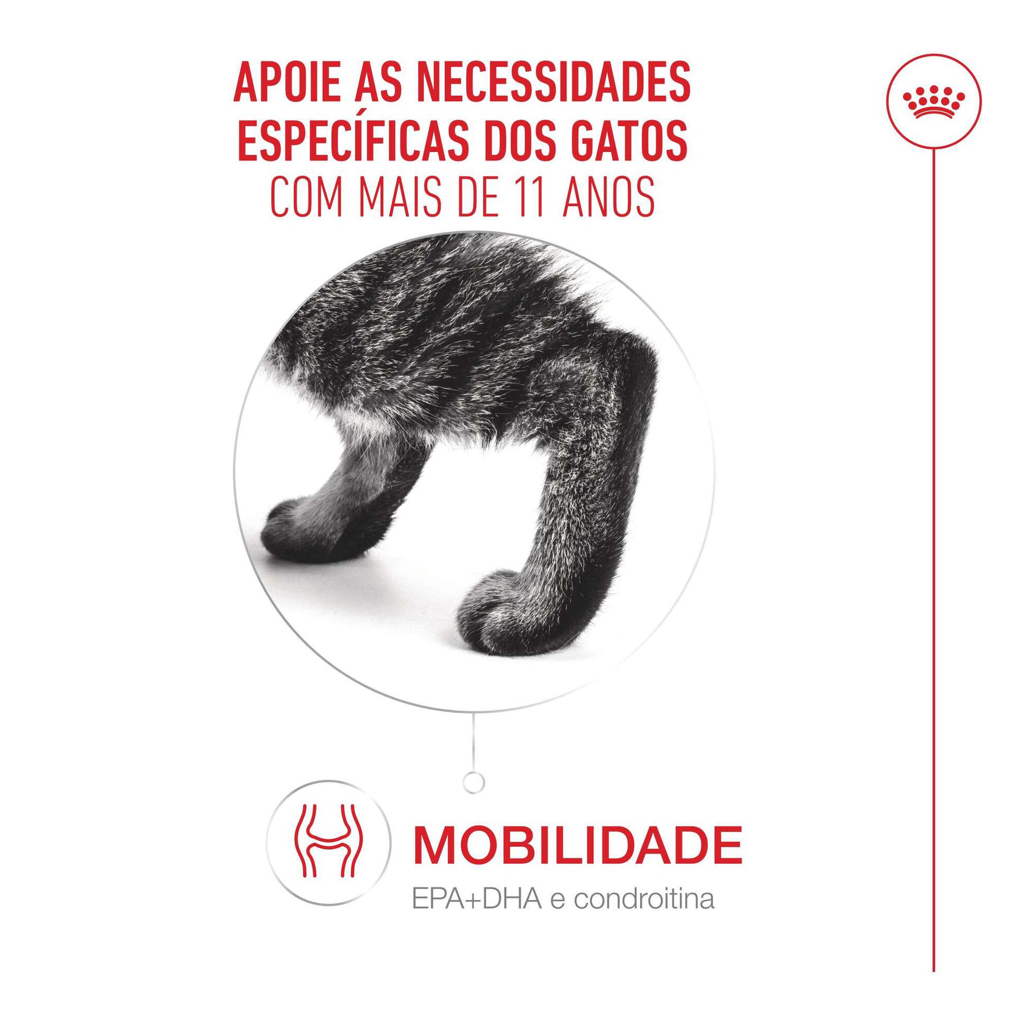 Pack Comida Húmida para Gato Sénior Ageing+11 em Molho