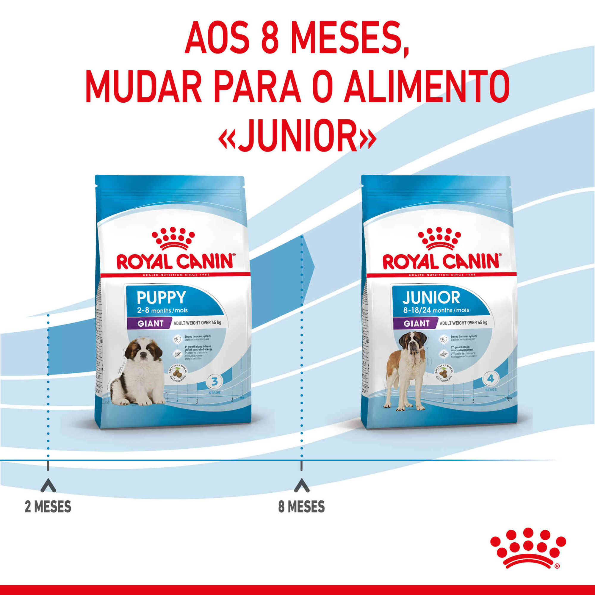 Ração para Cão Júnior Giant Ração para Cão Júnior Giant