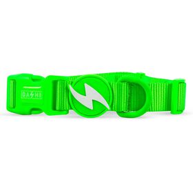 Coleira para C&atilde;o Verde Neon Dashi