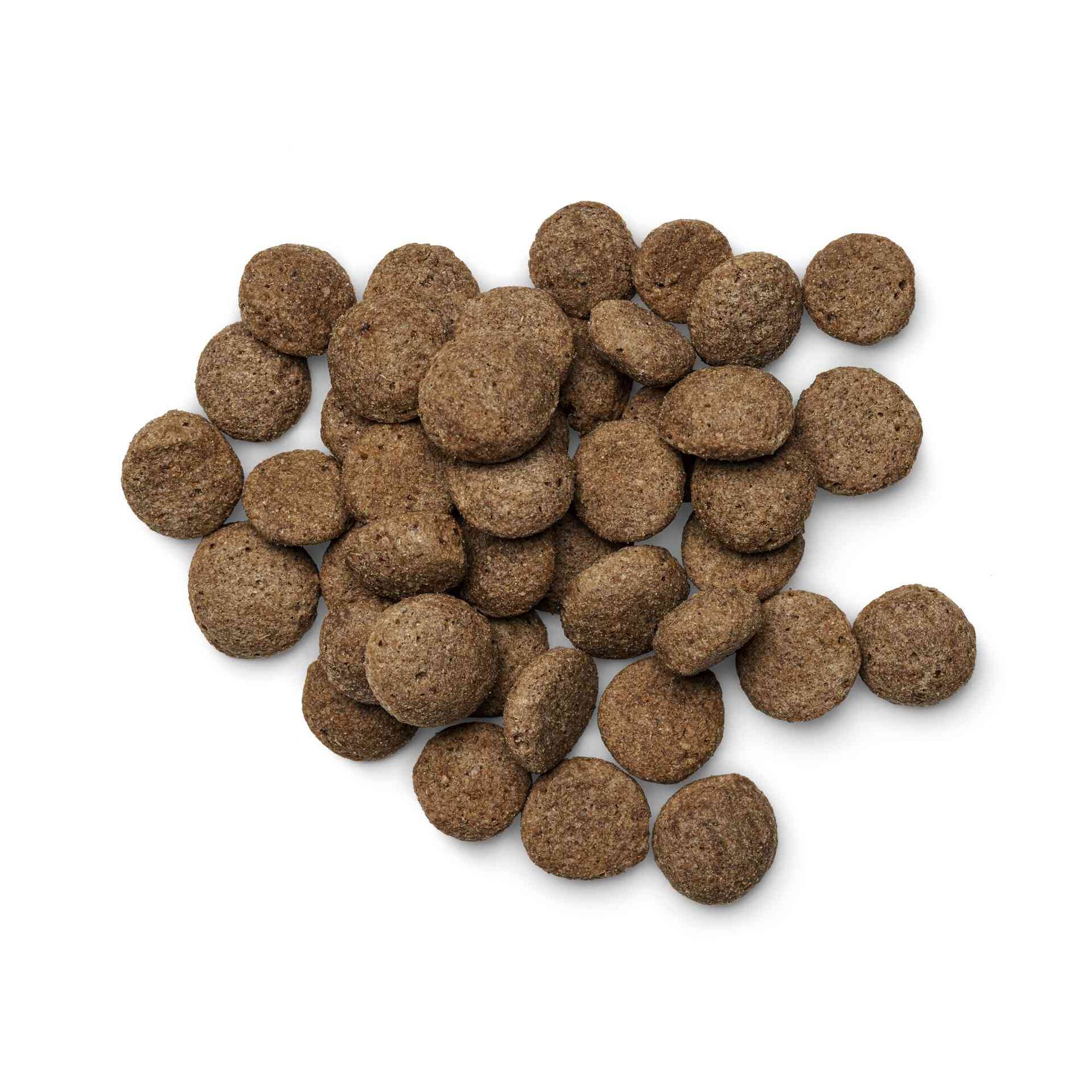 Ra&ccedil;&atilde;o para C&atilde;o Adulto Ra&ccedil;as Grandes Frango Purenatural