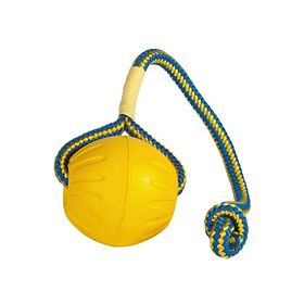 Brinquedo para Cão Bola Swing & Fling Foam Flutuante M