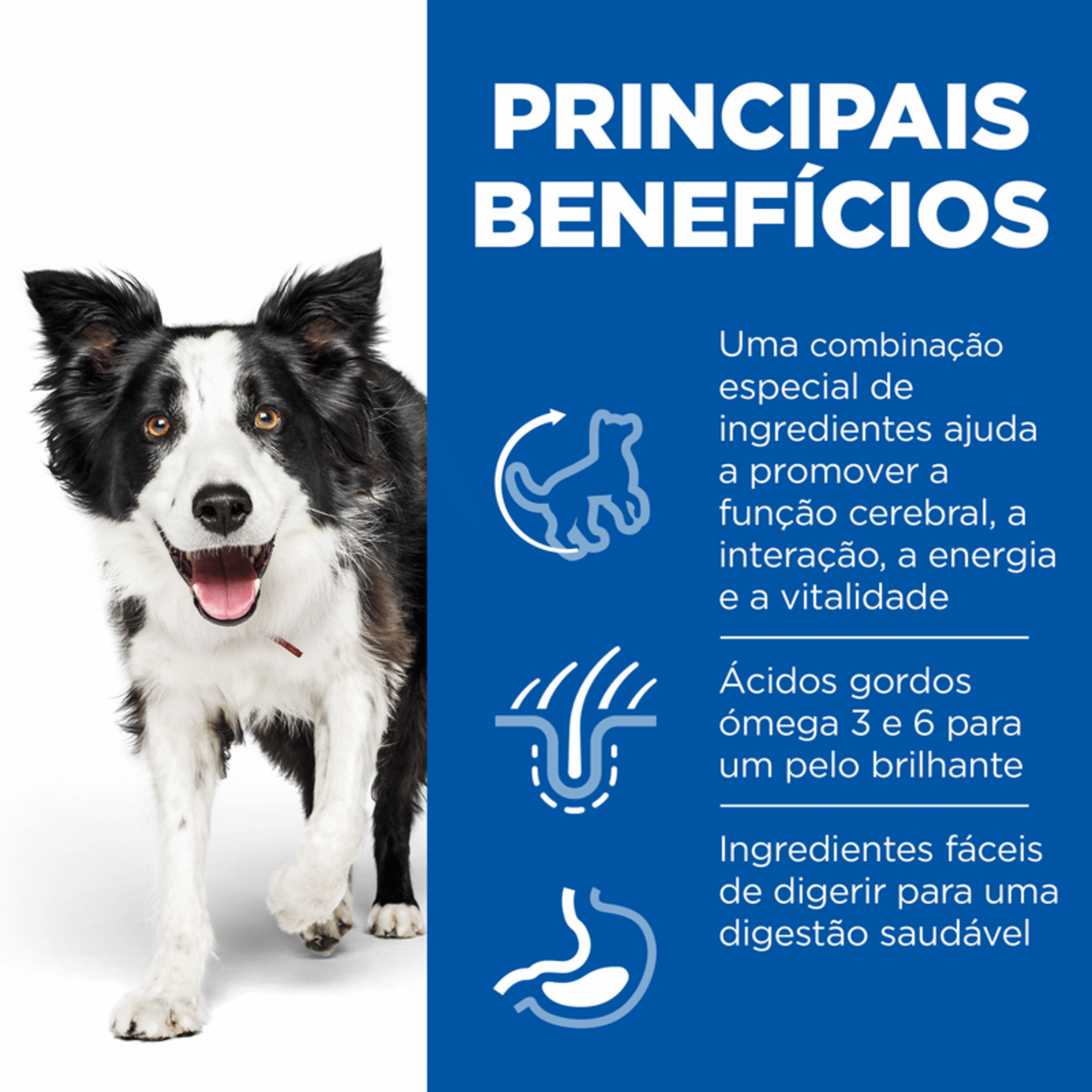 Ração para Cão Adulto Médio Science Plan Vitality 7+ Frango