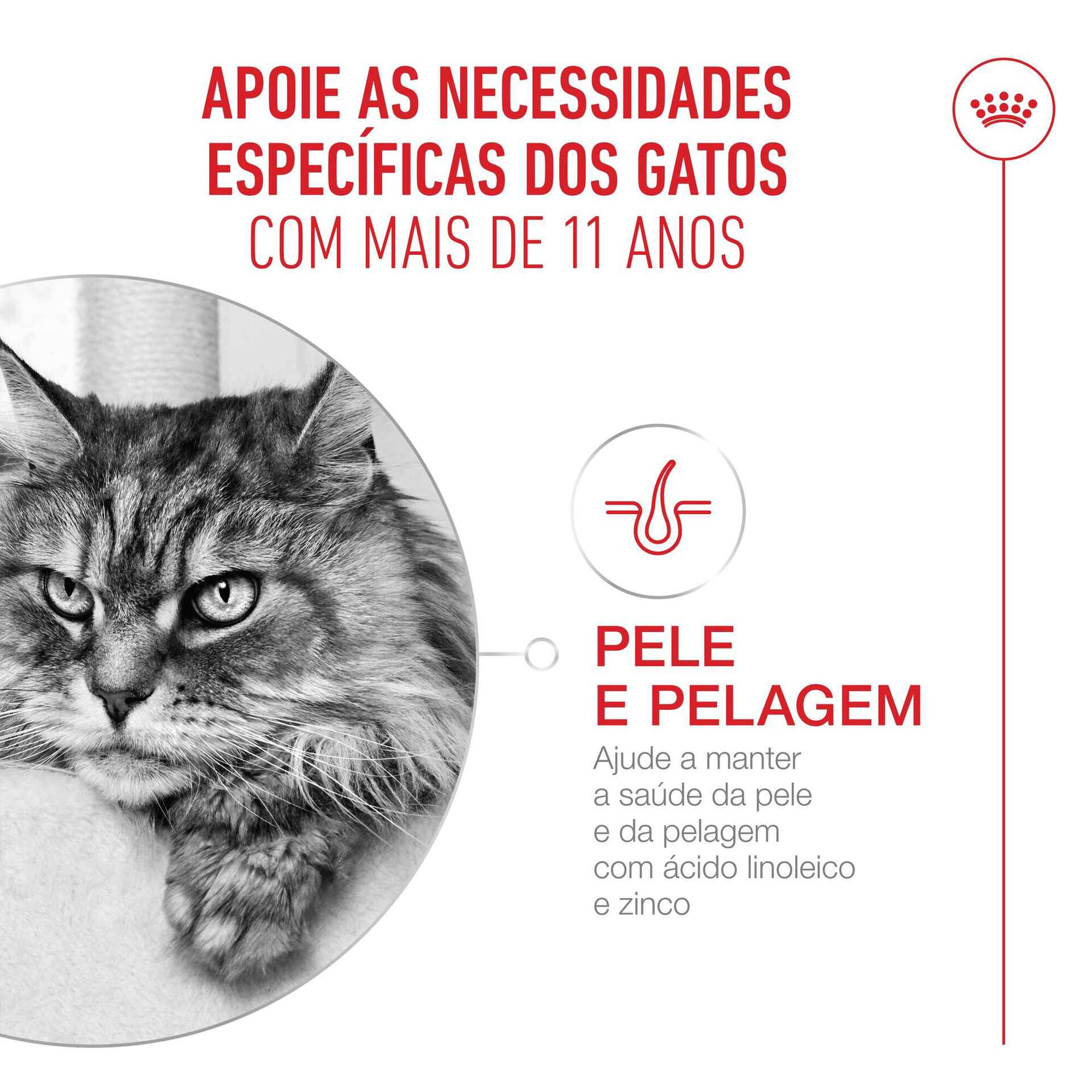 Pack Comida Húmida para Gato Sénior Ageing+11 em Molho