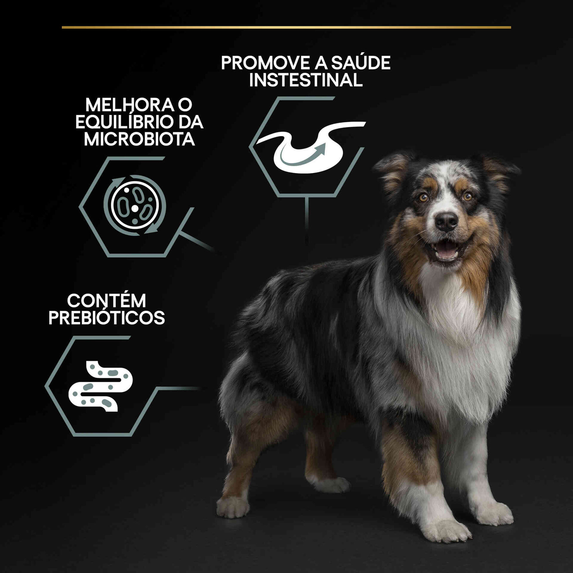Ração para Cão Adulto Médio Sensitive Digestion Borrego