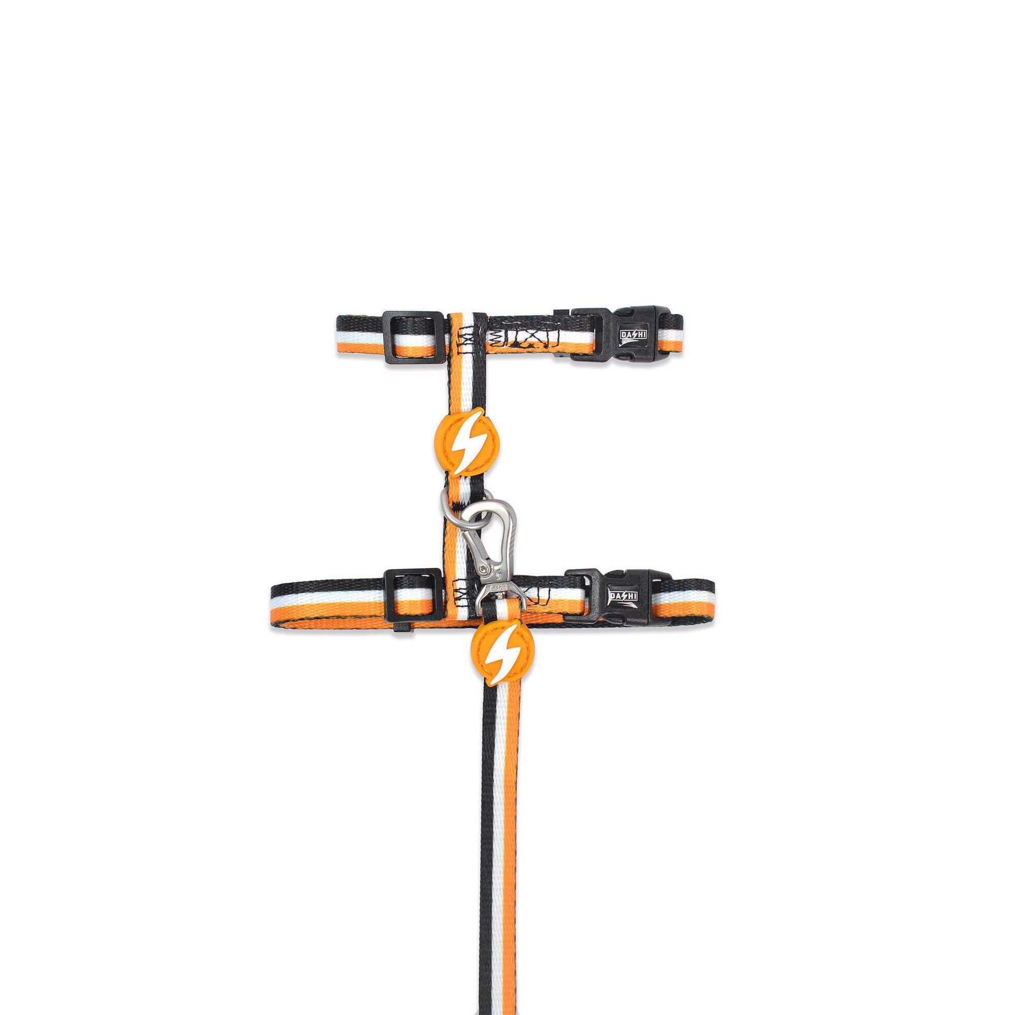 Coleira e Trela para Gato Stripes3 Laranja e Preto Coleira e Trela para Gato Stripes3 Laranja e Preto