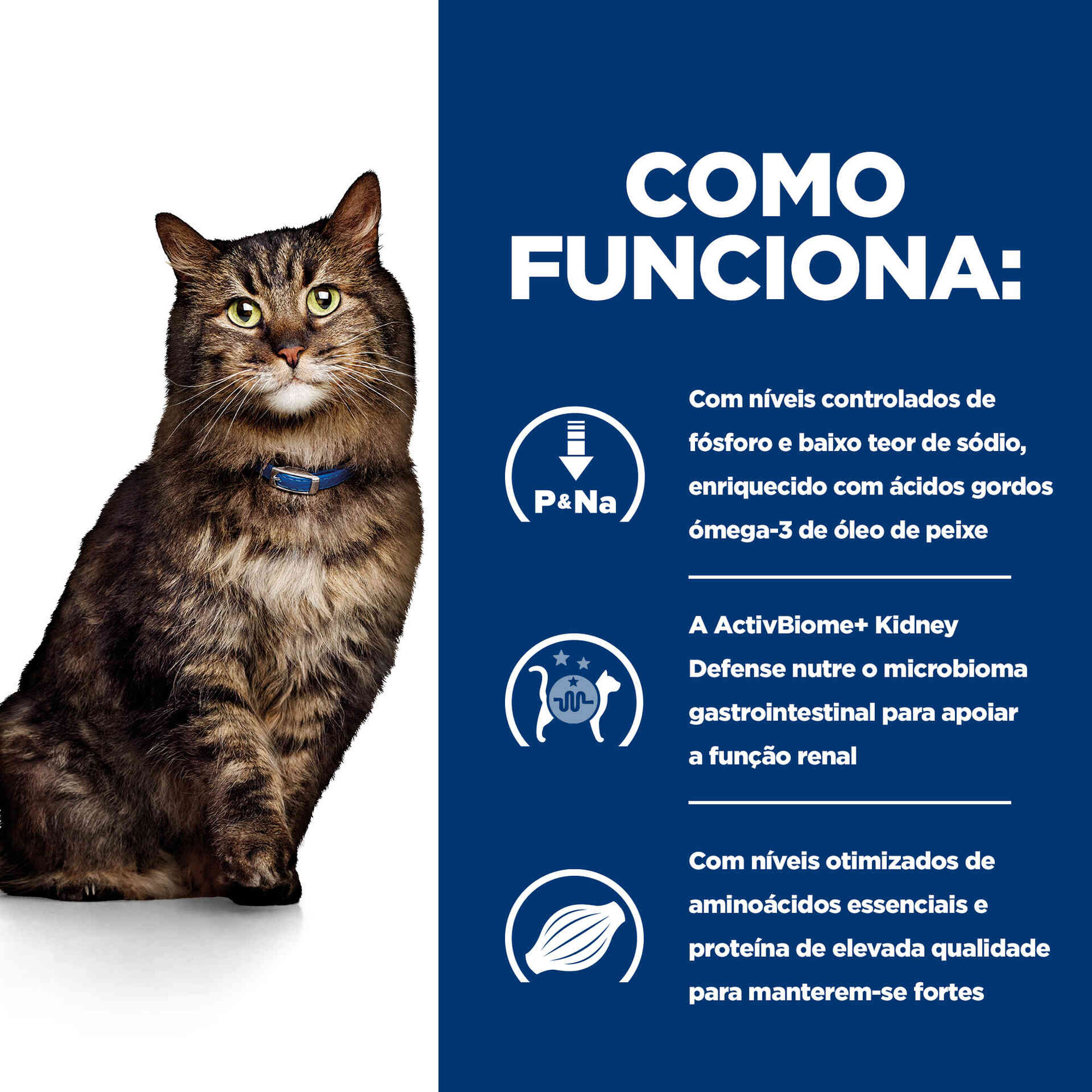 Comida Húmida para Gato Adulto Prescription Diet Early Stage Cuidado Renal em Saquetas