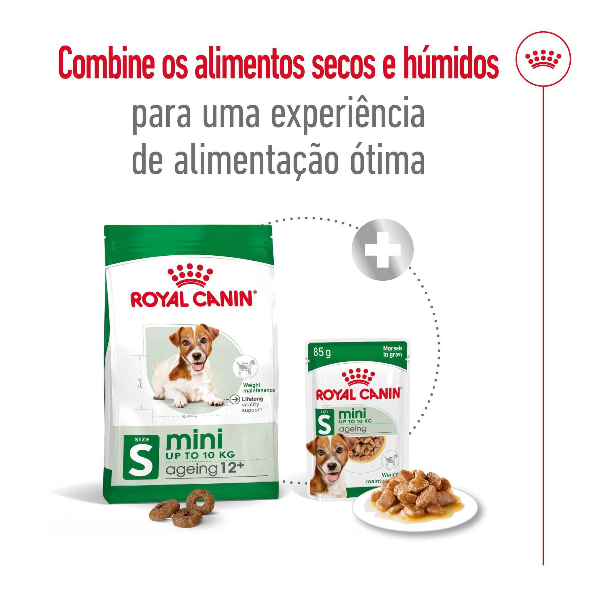 Ração para Cão Sénior Mini Ageing 12+ Ração para Cão Sénior Mini Ageing 12+