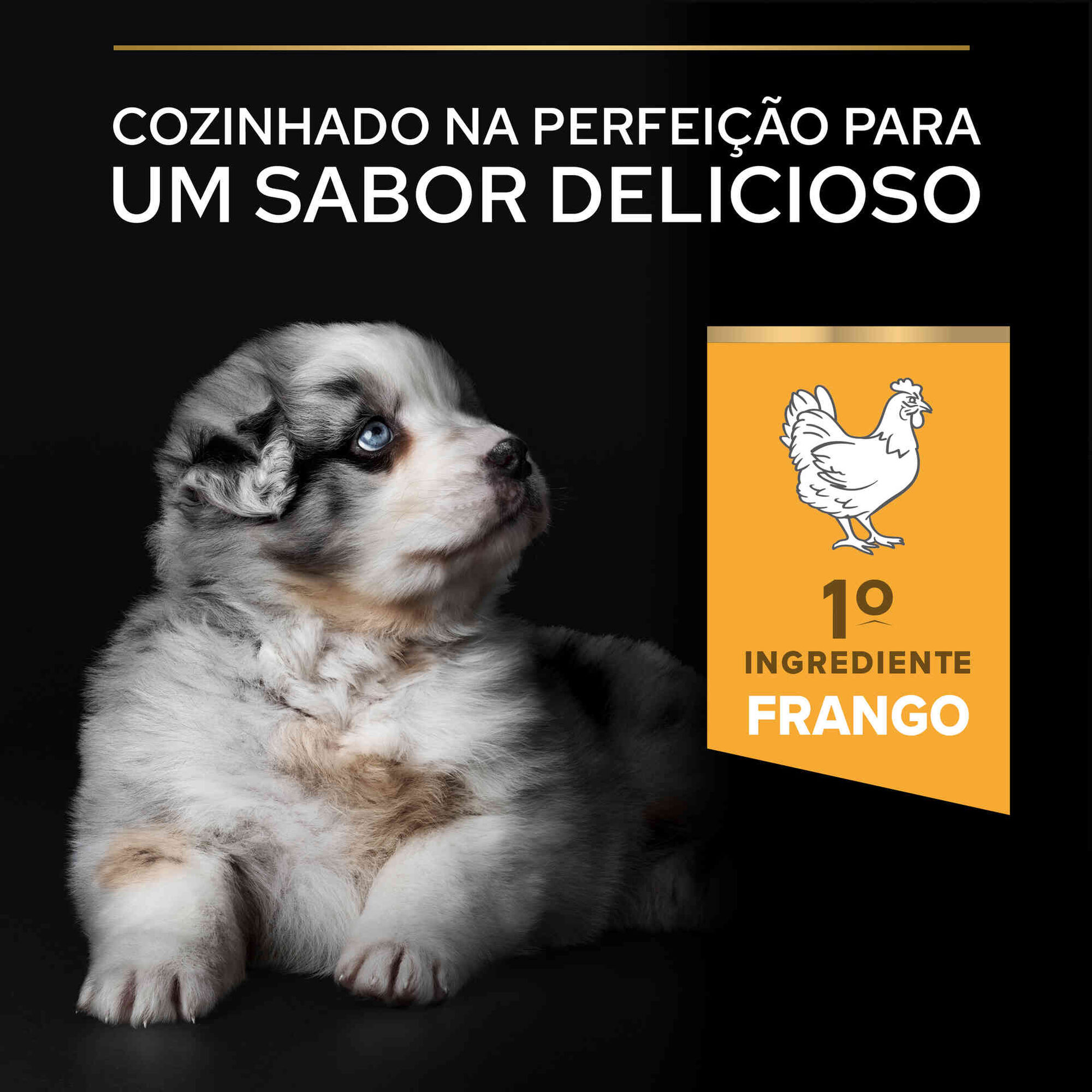Ração para Cão Júnior Starter Mini e Médio Frango