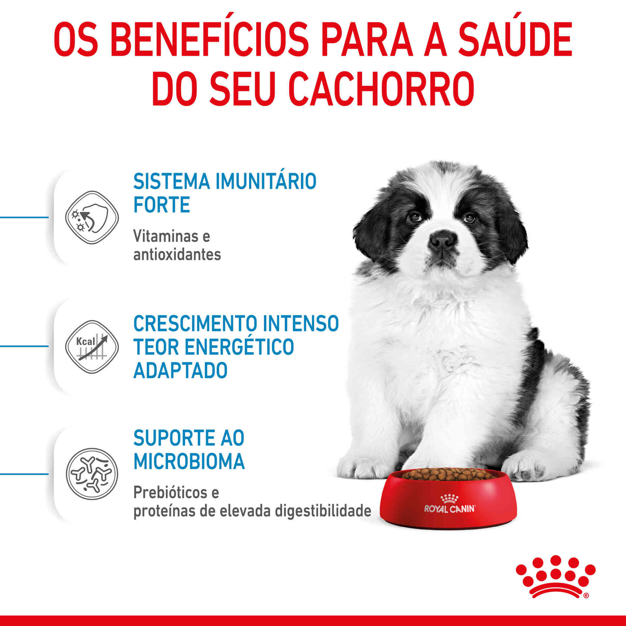 Ração para Cão Júnior Giant Ração para Cão Júnior Giant