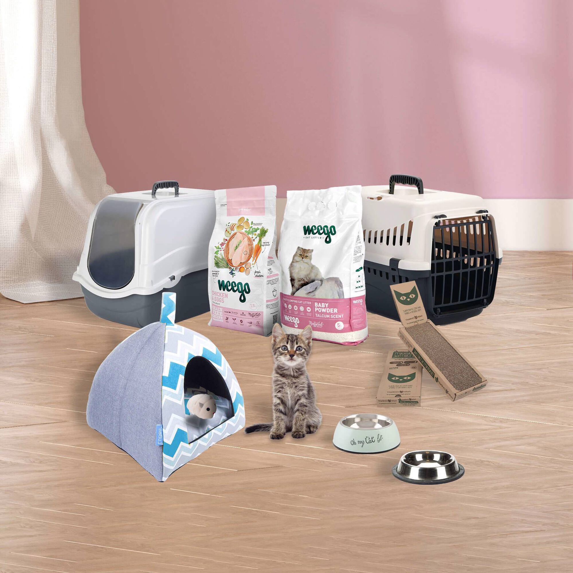 Kit de Adoção para Gato Kitten Kit de Adoção para Gato Kitten