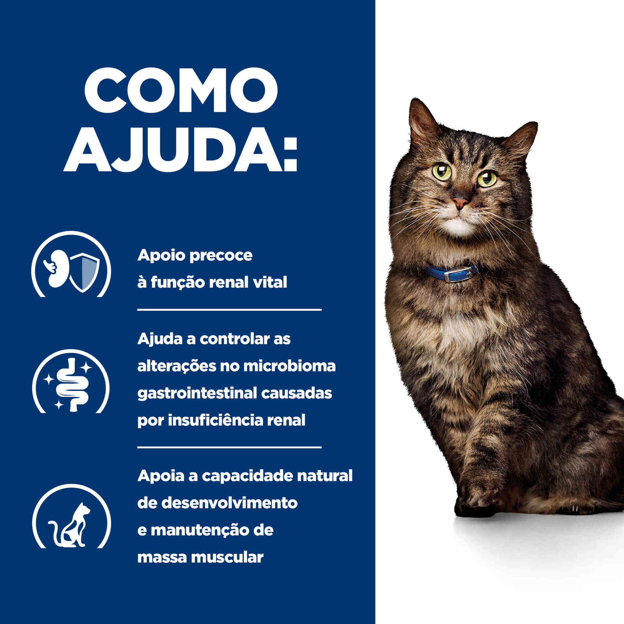 Comida H&uacute;mida para Gato Prescription Diet Early Stage Kidney Care Frango