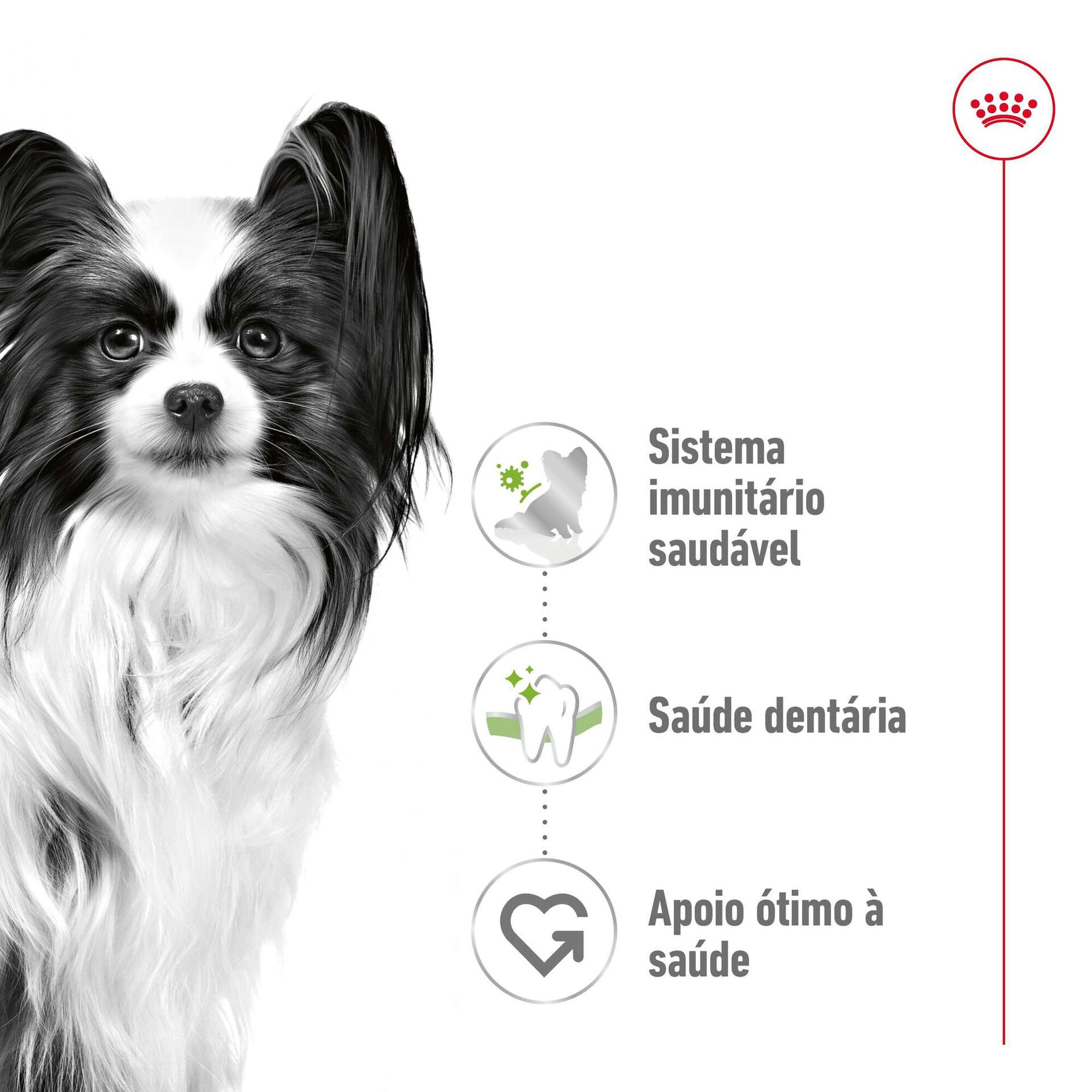 Ração para Cão Adulto Mini