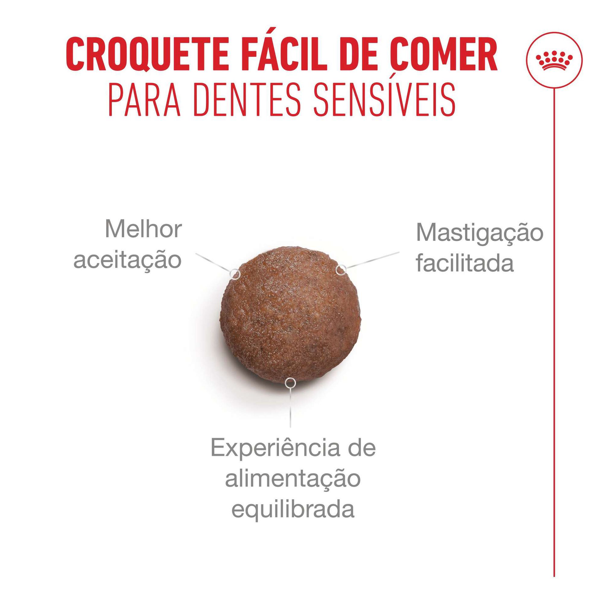 Ração para Gato Sénior Ageing+11