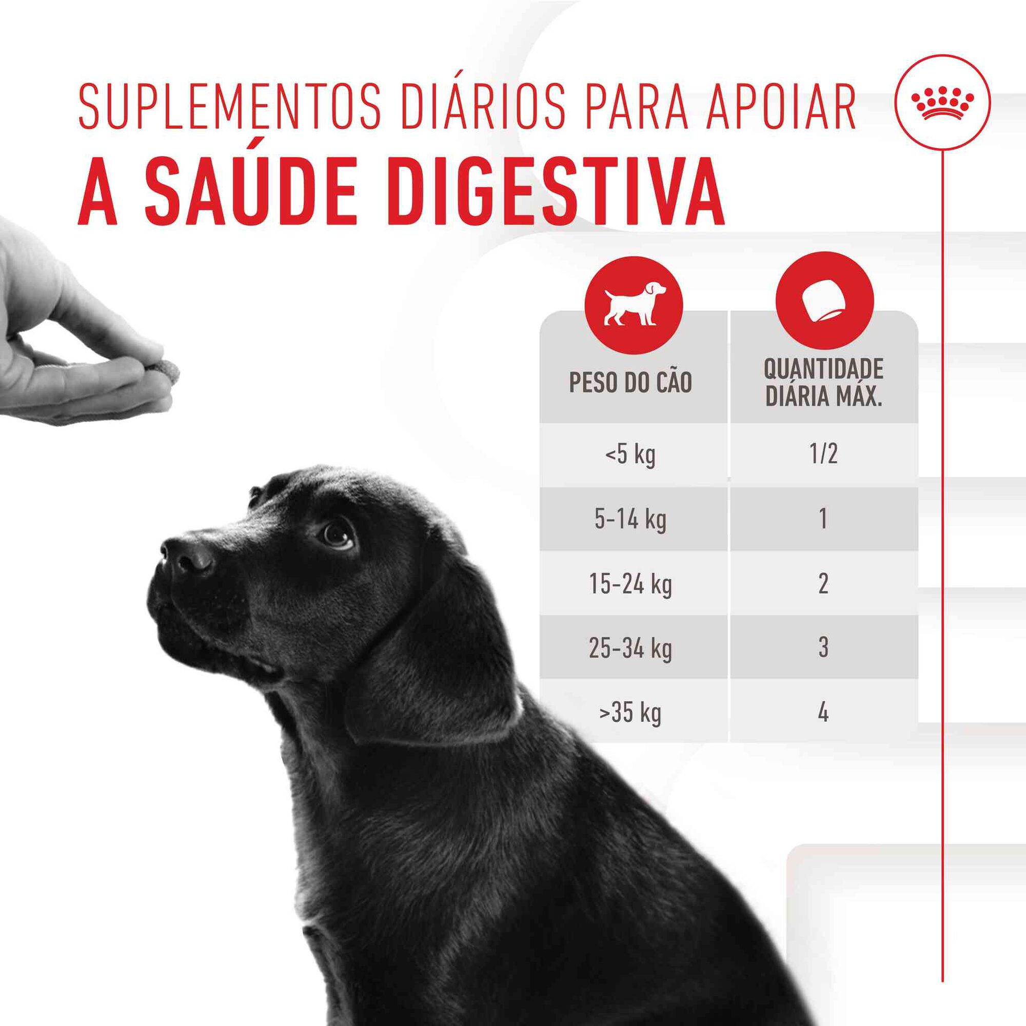 Suplemento Snack para Cão Júnior Immunity&Digestion Chews