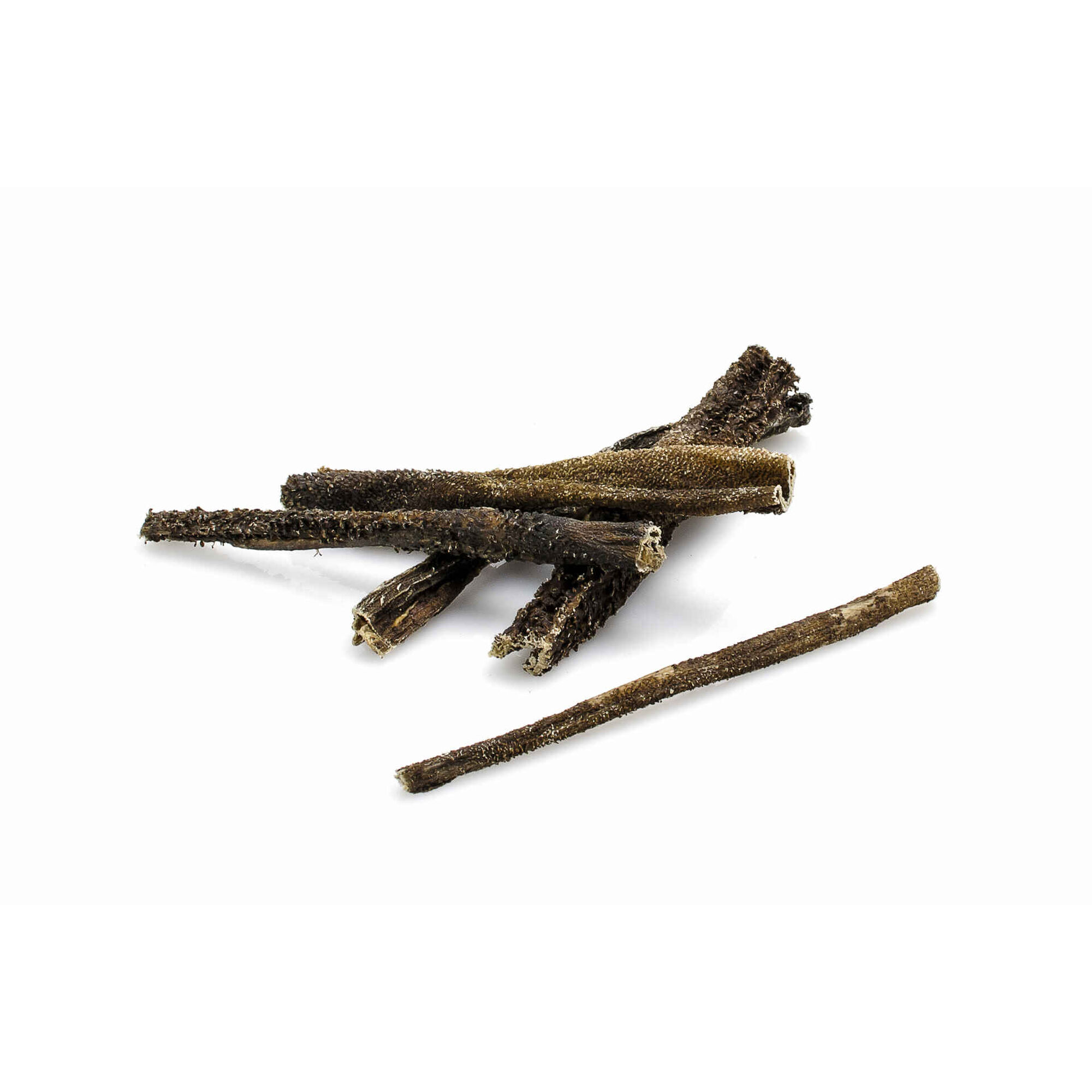 Snack para Cão Hipoalergénico Tripa Cordeiro