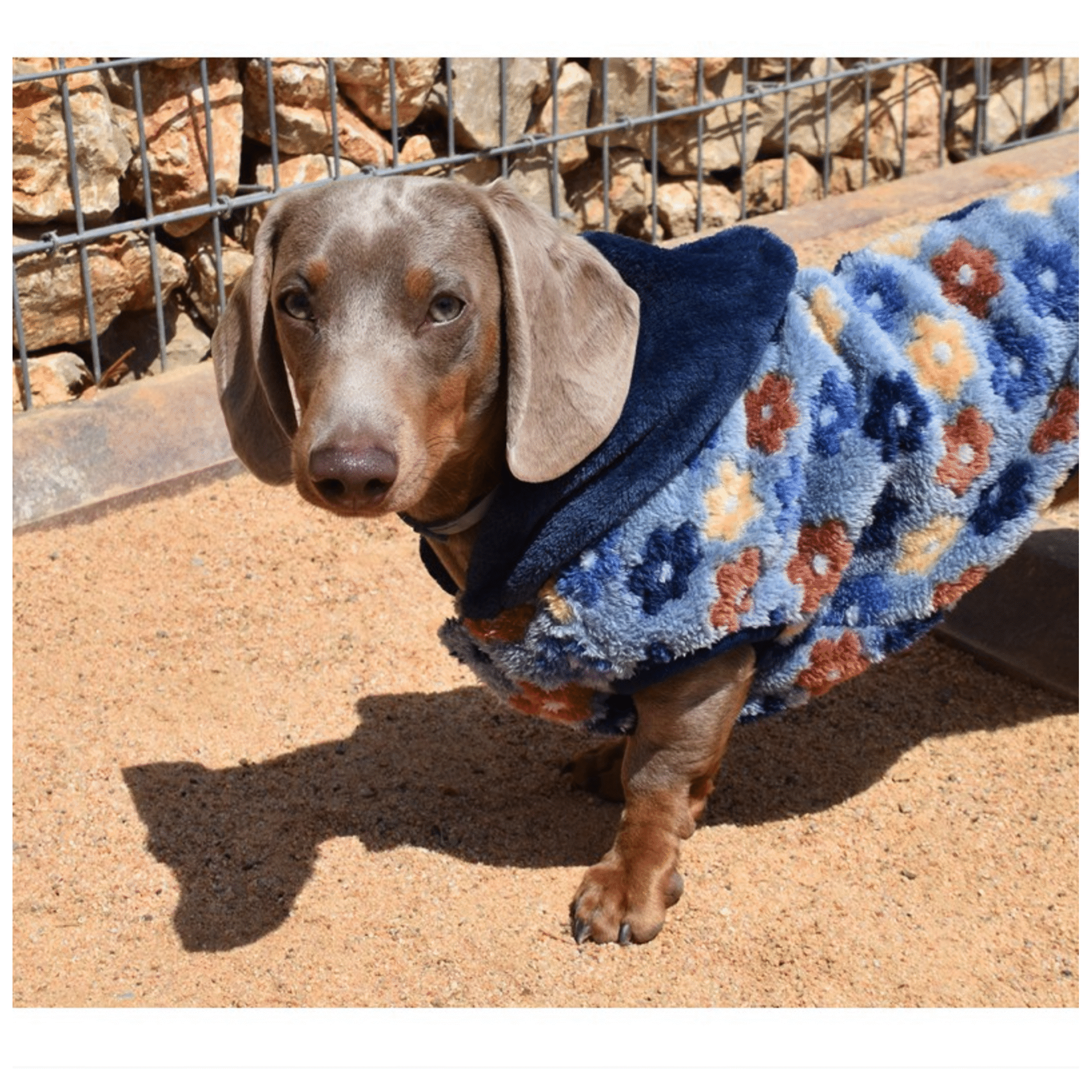 Camisola para Cão Polar Spring 25 cm