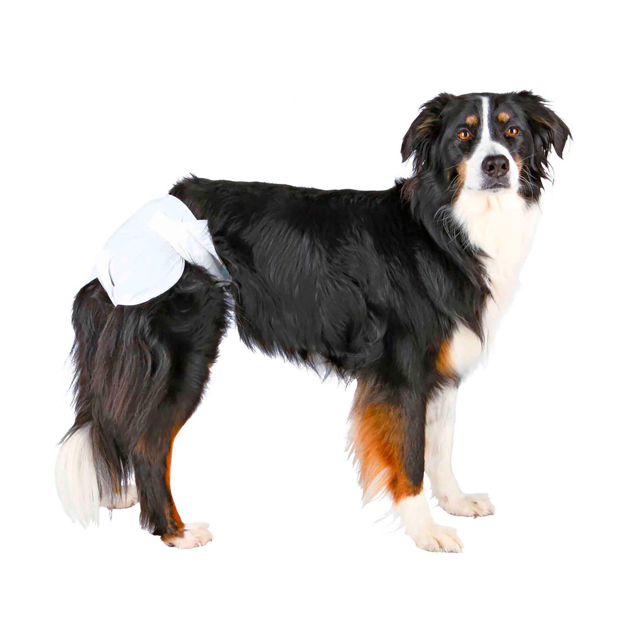 Fralda Descartável para Cadela M/L Fralda Descartável para Cadela M/L