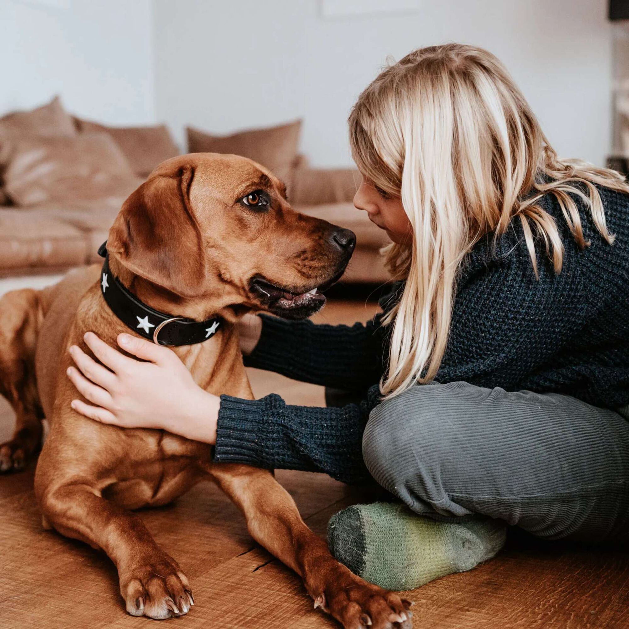Coleira para Cão Magic Star Preta