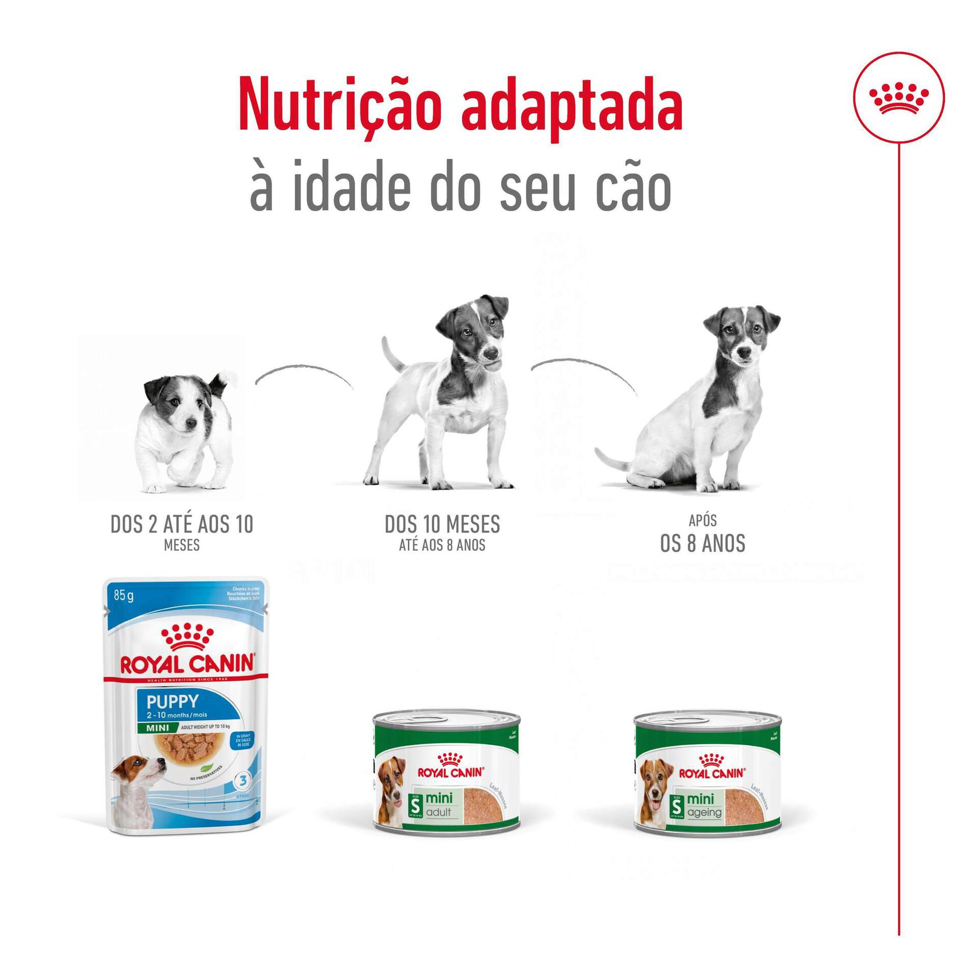 Comida Húmida para Cão Sénior Mini