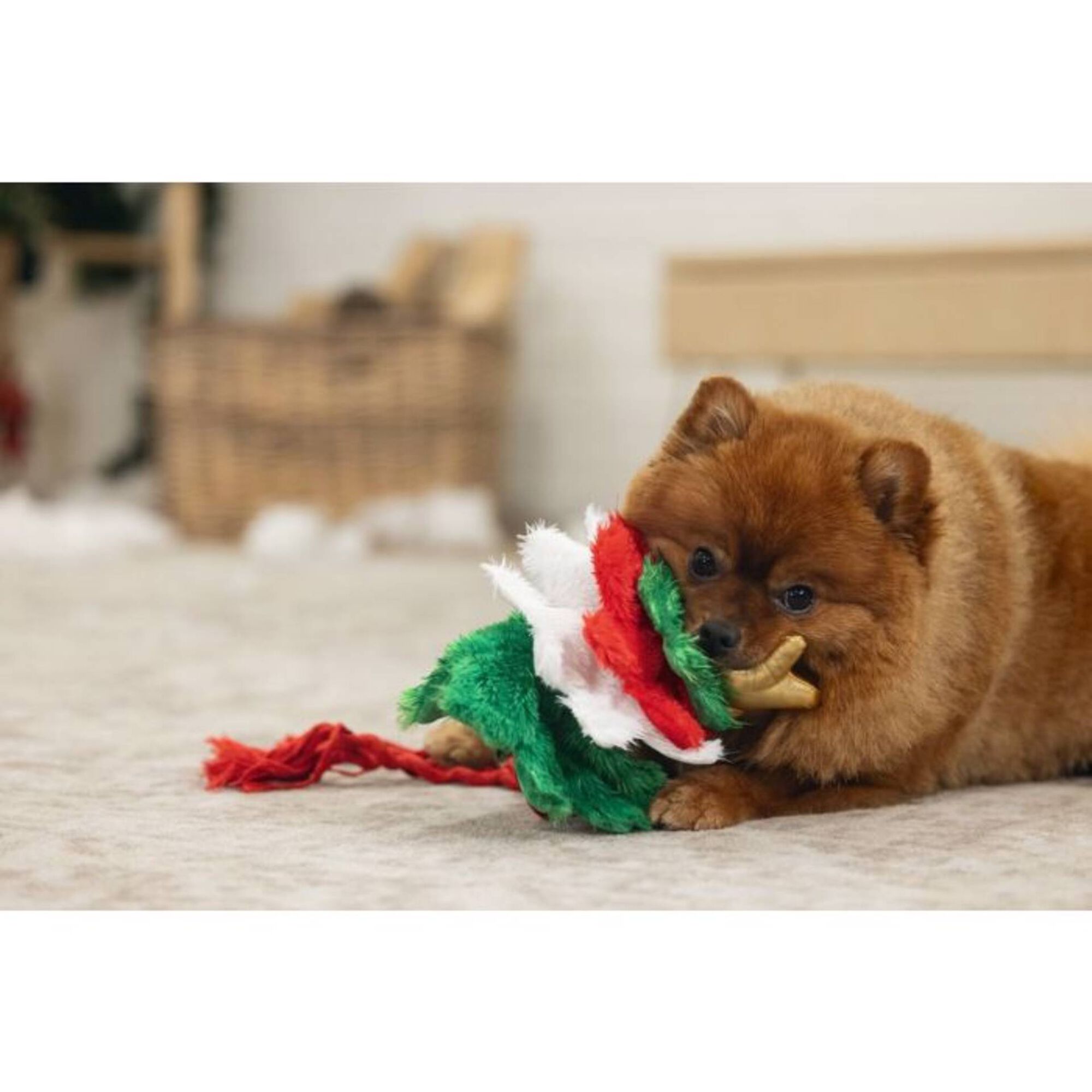 Brinquedo para Cão Árvore de Natal