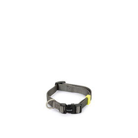 Coleira para Cão Cinza Claro Nylon