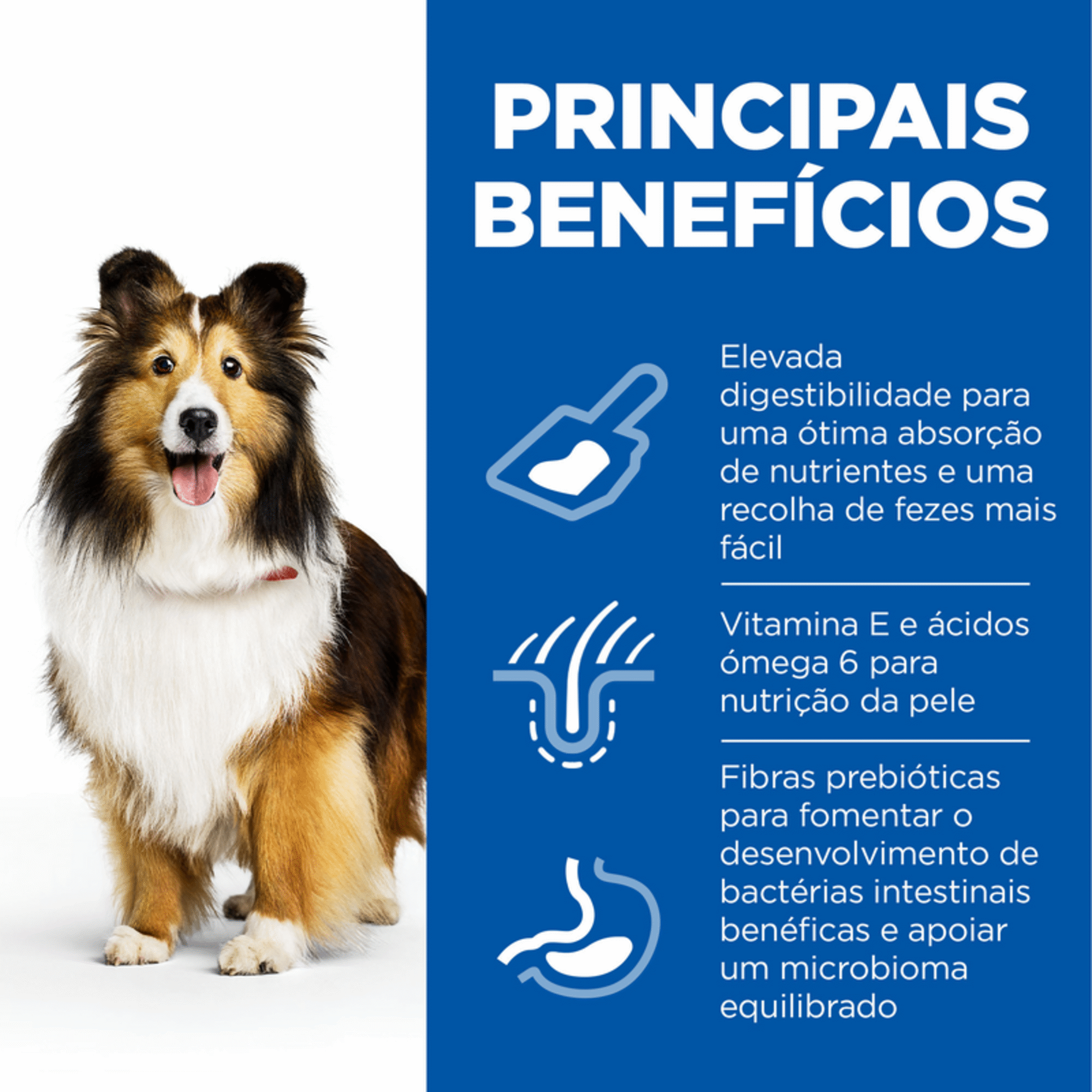 Ração para Cão Adulto Médio Science Plan Stomach & Skin