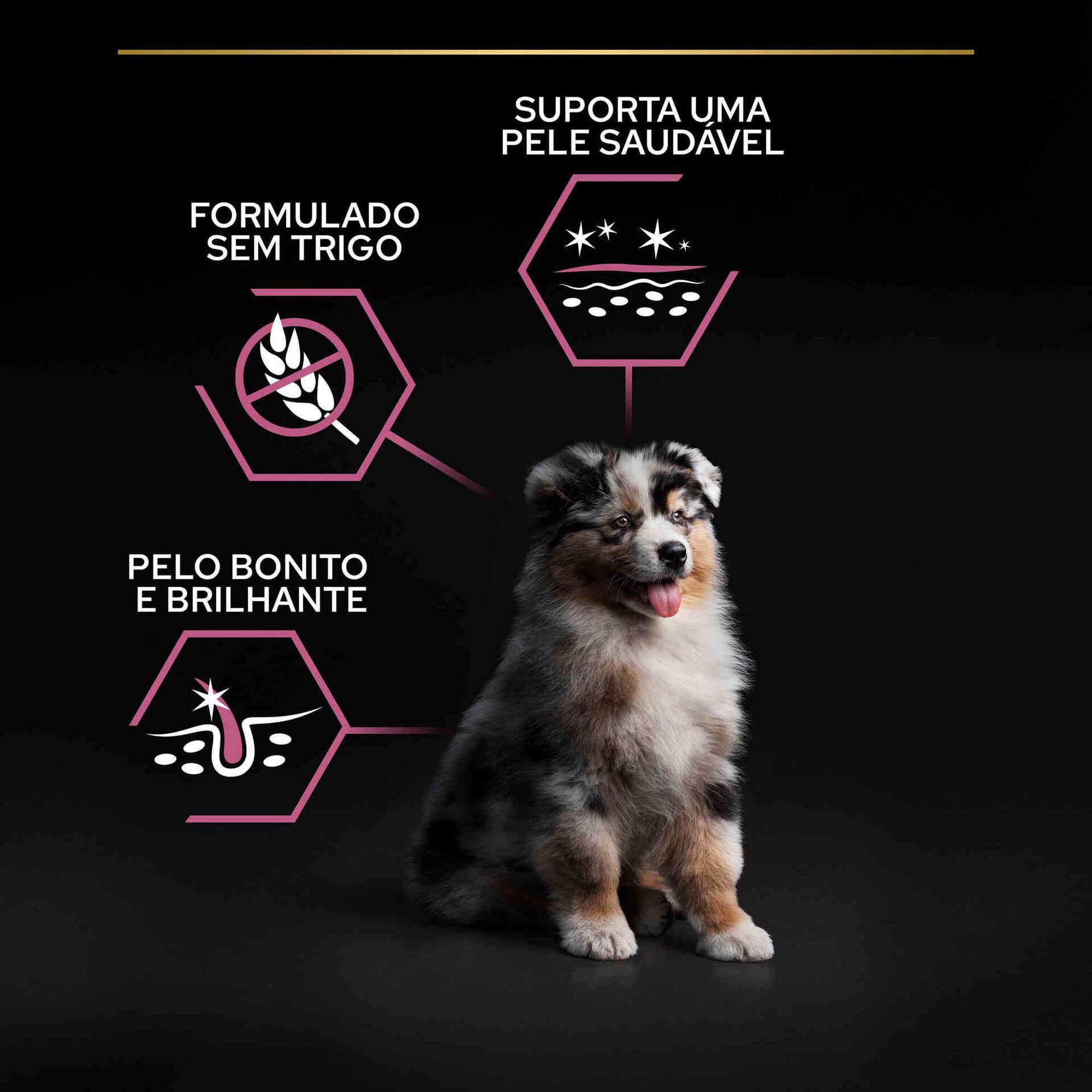 Ração para Cão Júnior Médio Sensitive Skin Salmão
